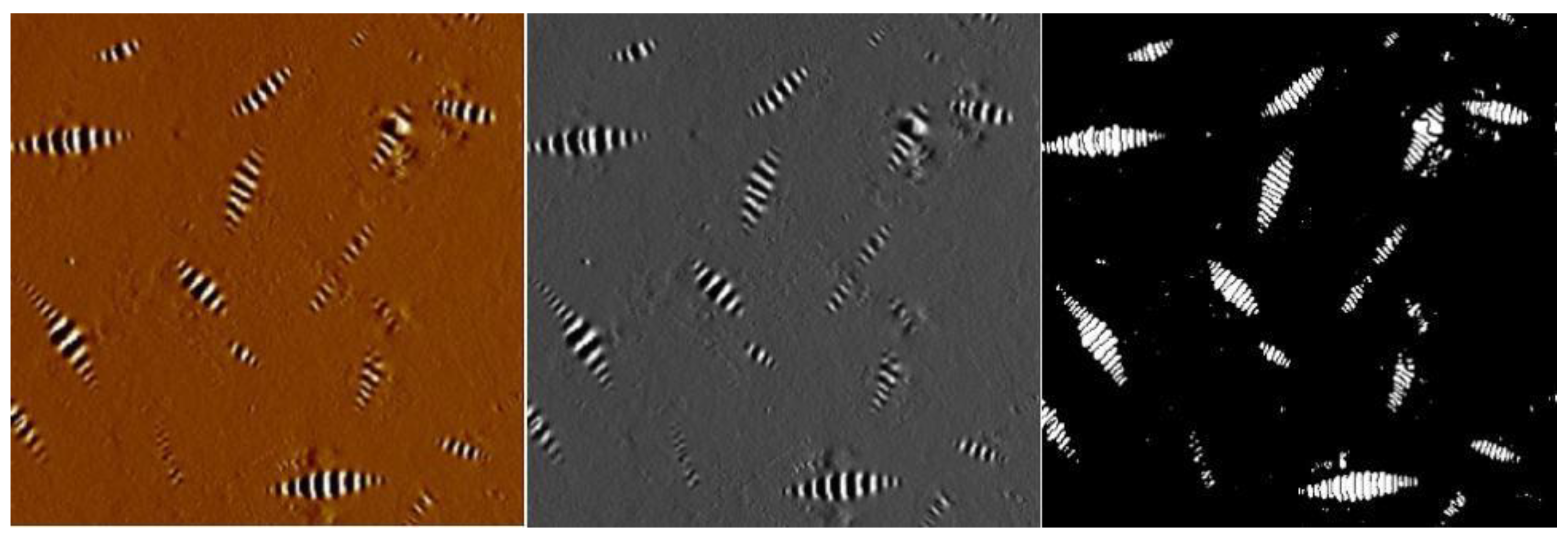 Sustainability 15 02953 g012