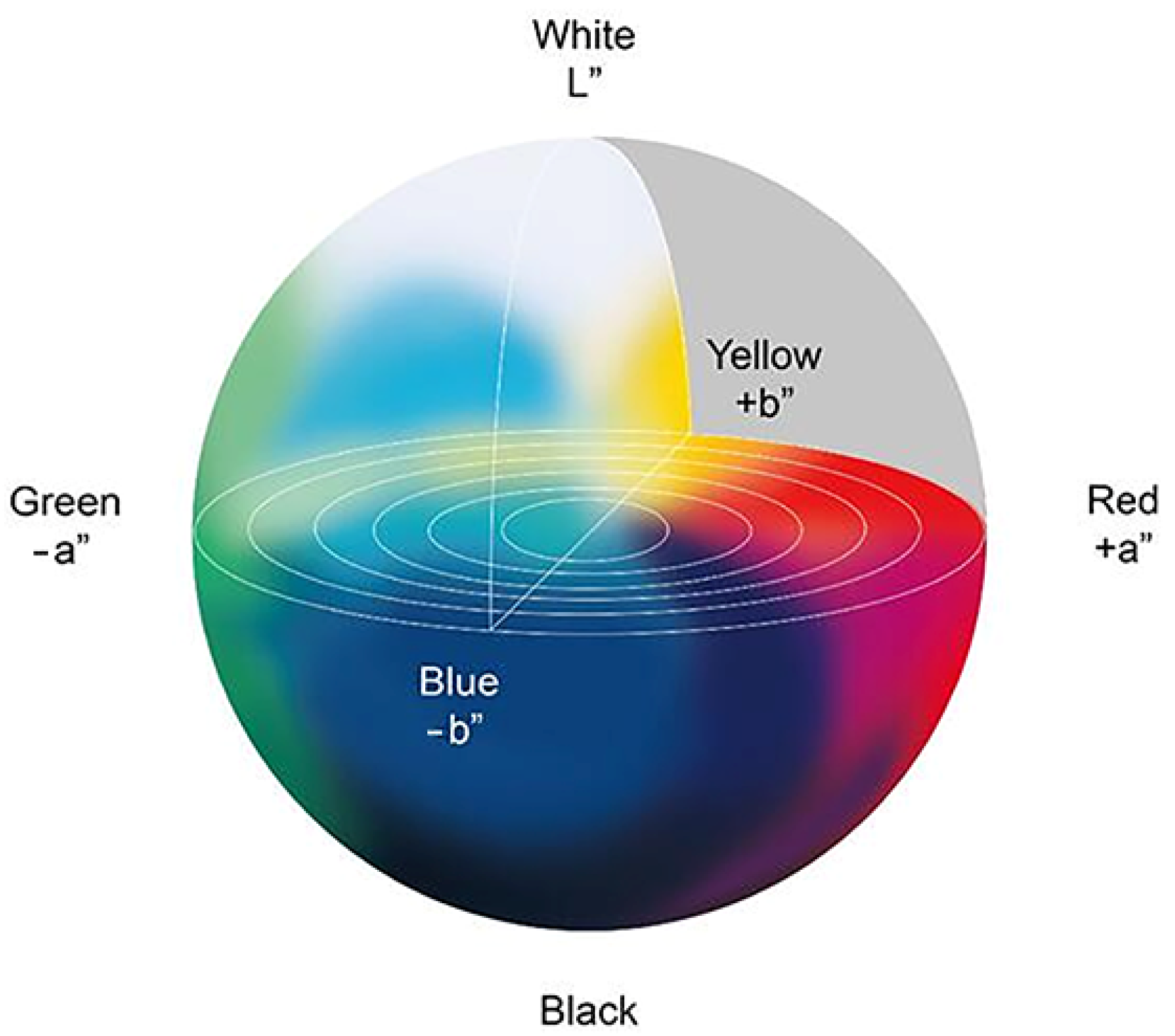 Sustainability 15 02954 g002