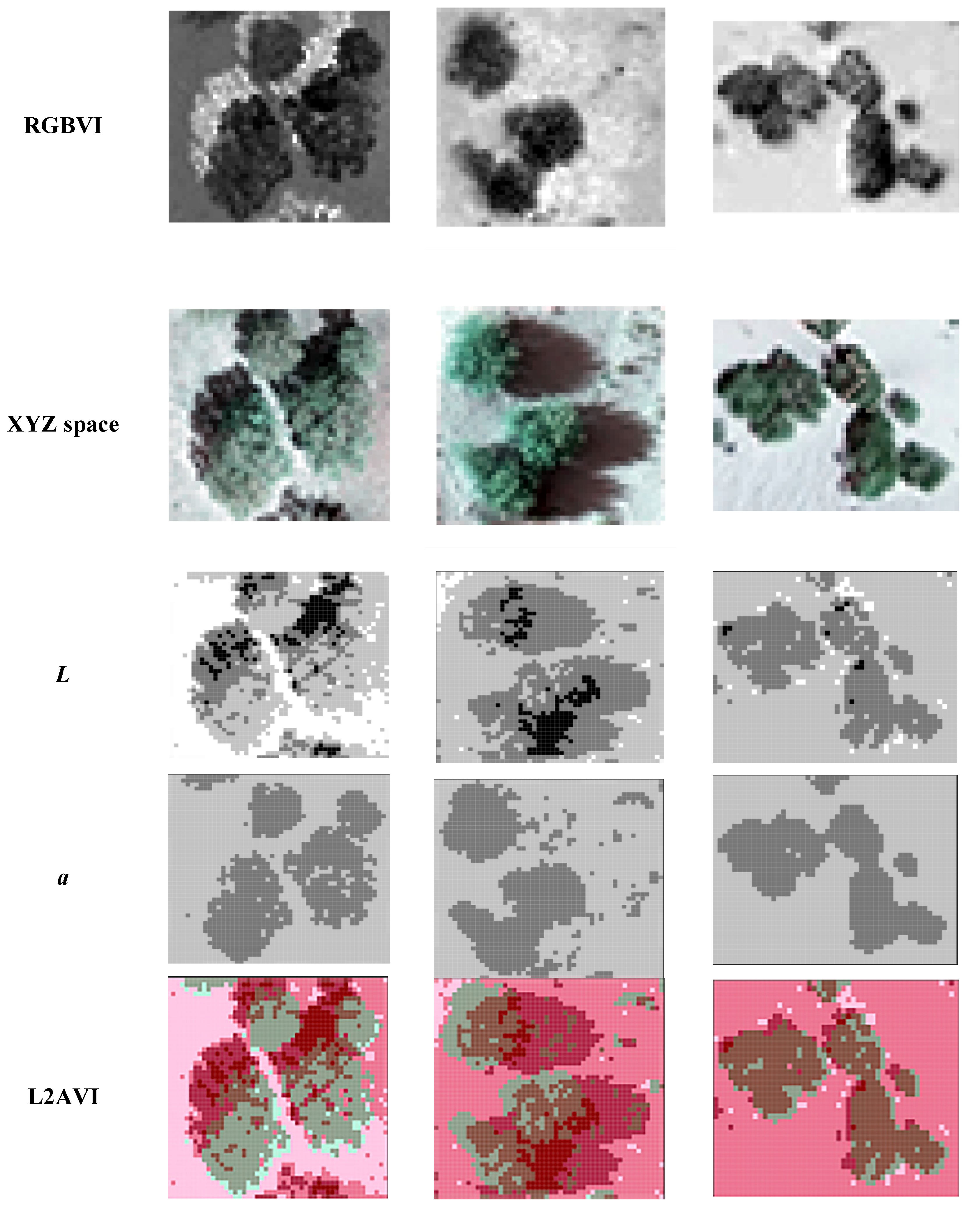 Sustainability 15 02954 g006b