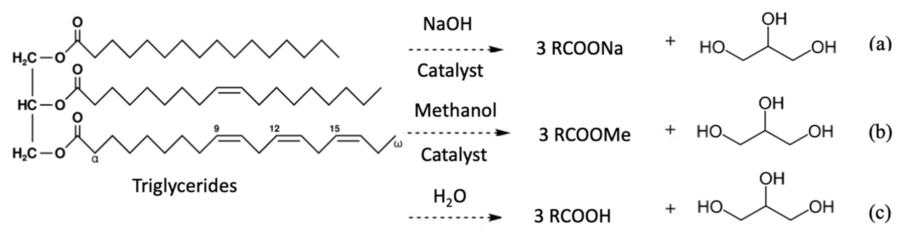 Sustainability 15 02979 g004