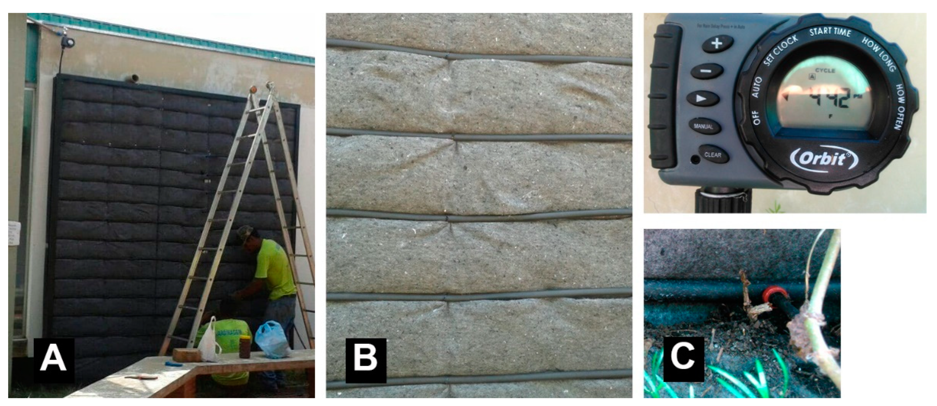 Sustainability 15 02985 g006