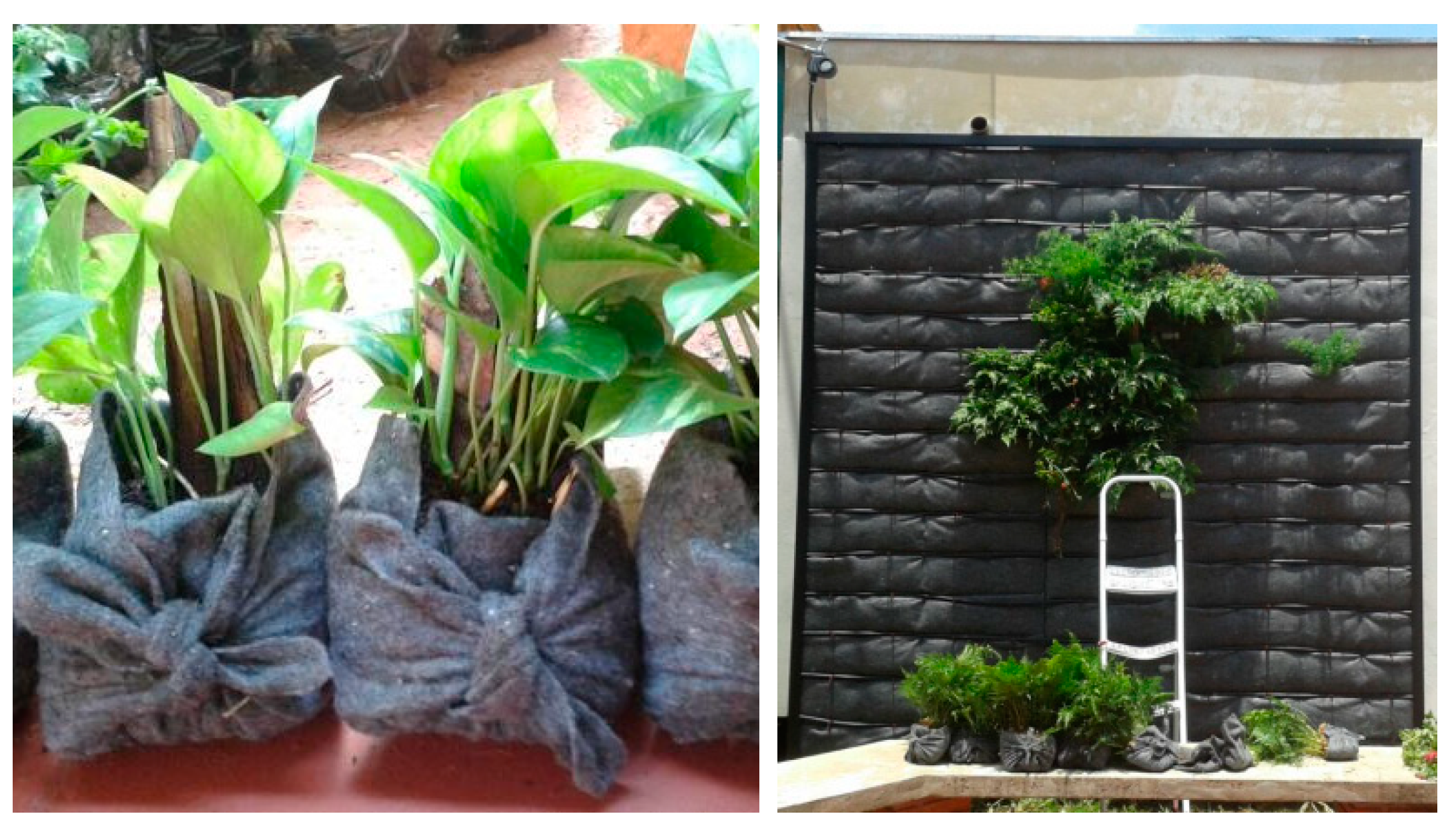 Sustainability 15 02985 g008