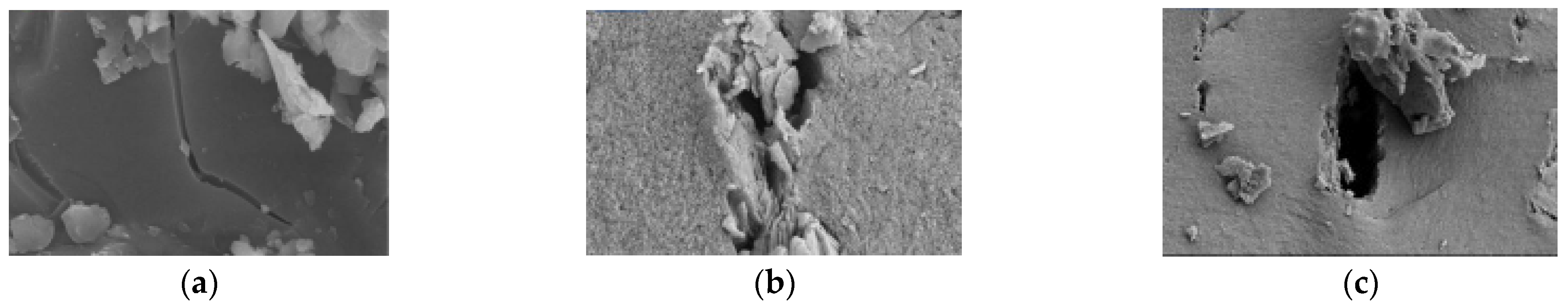 Sustainability 15 03004 g003