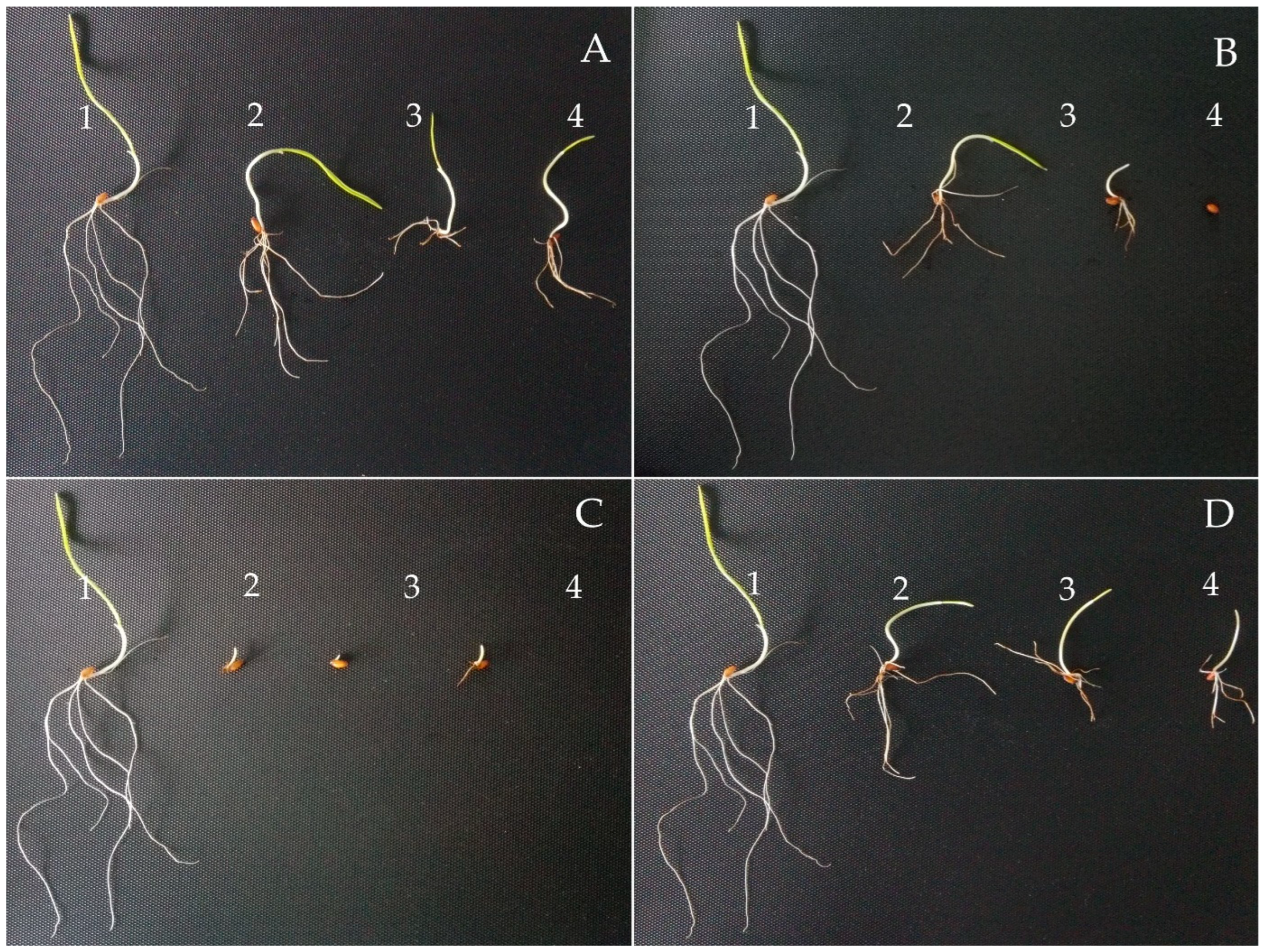 Sustainability 15 03061 g003