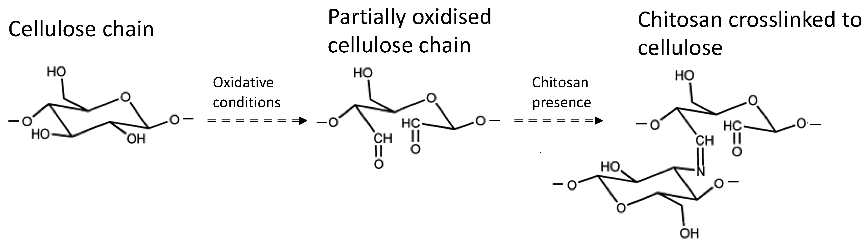 Sustainability 15 03062 g001