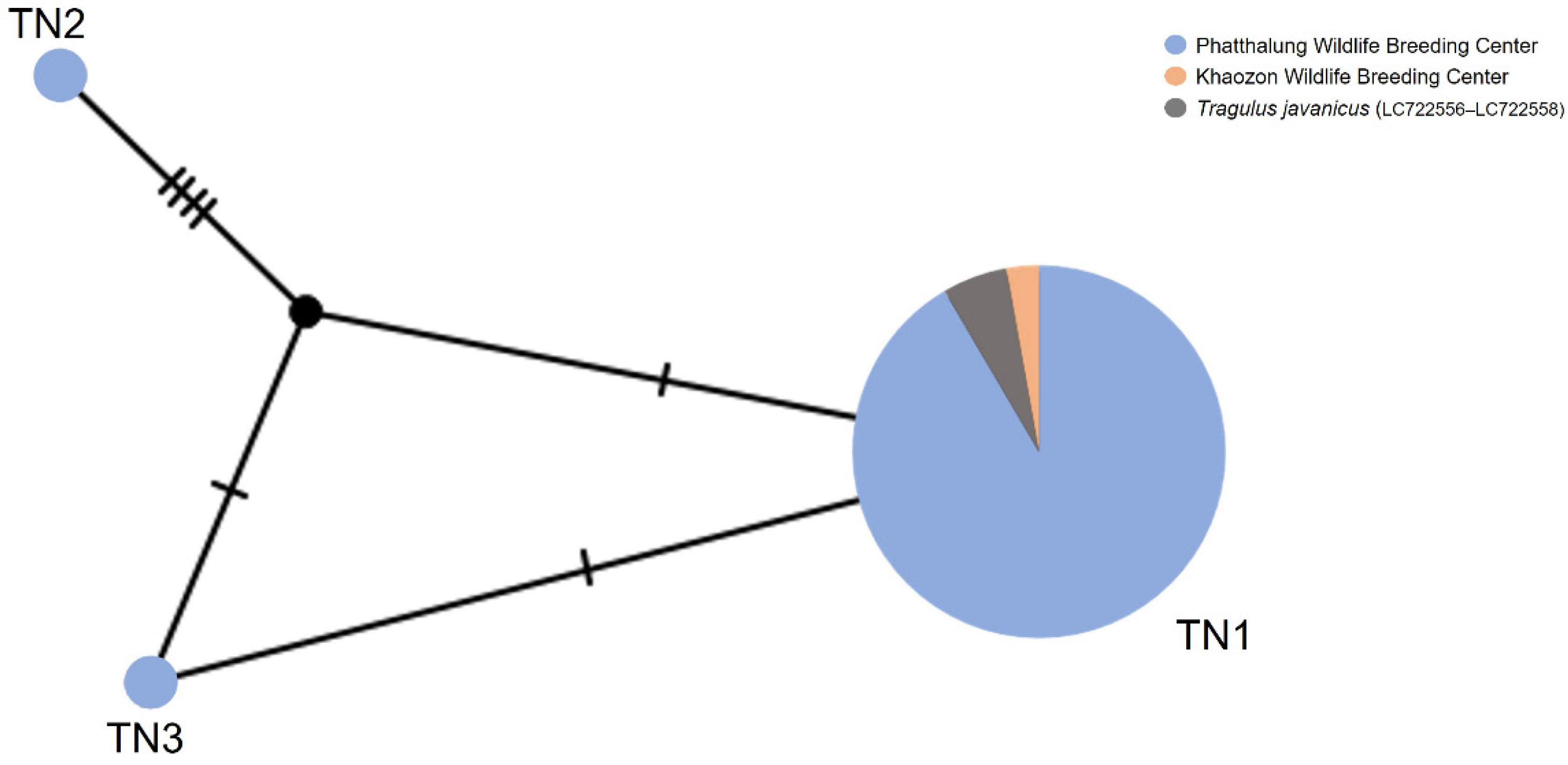 Sustainability 15 03112 g007