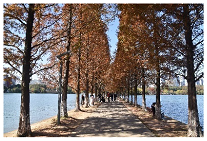 Sustainability 15 03119 i001