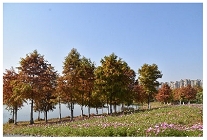 Sustainability 15 03119 i007