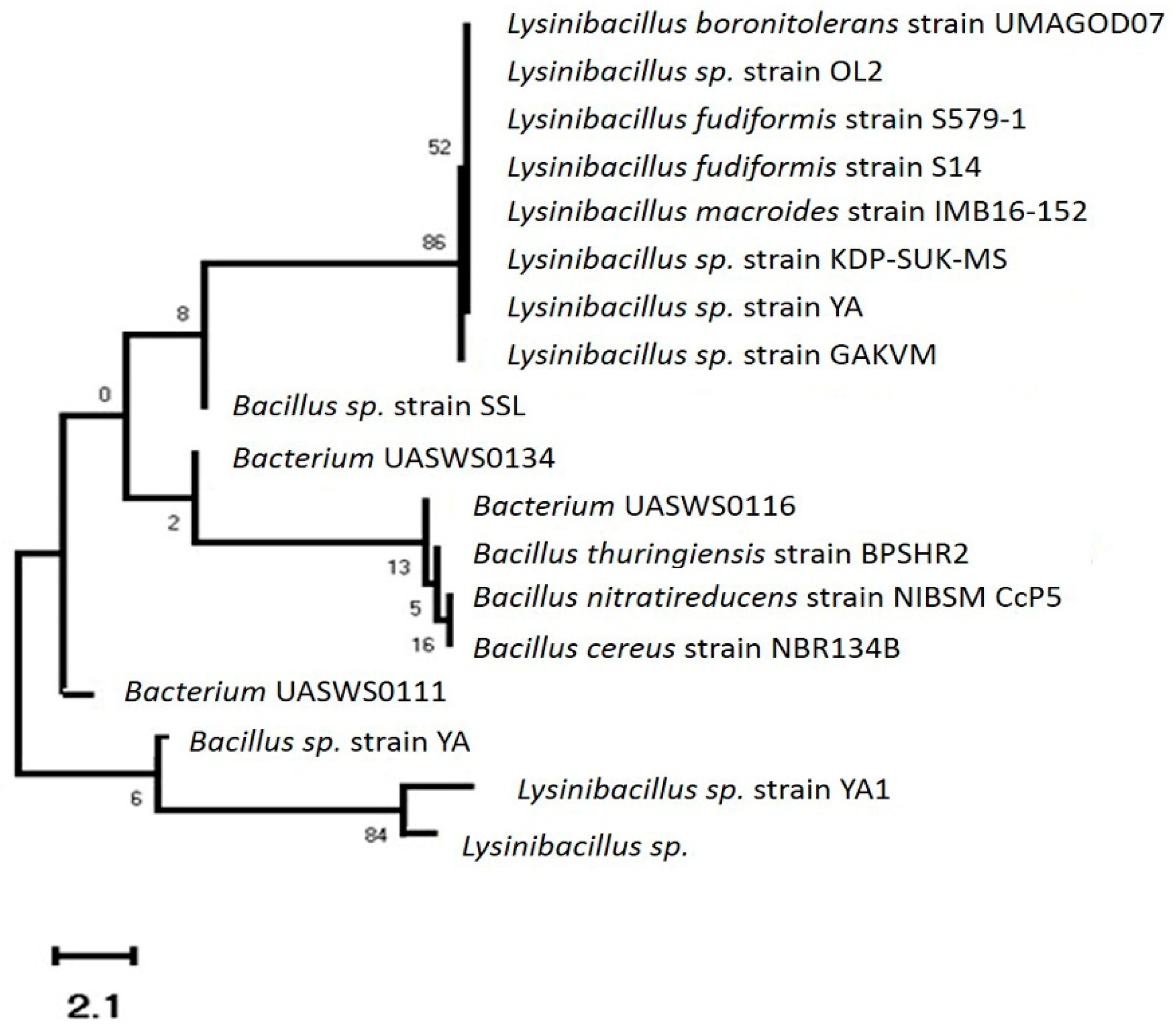 Sustainability 15 03126 g001