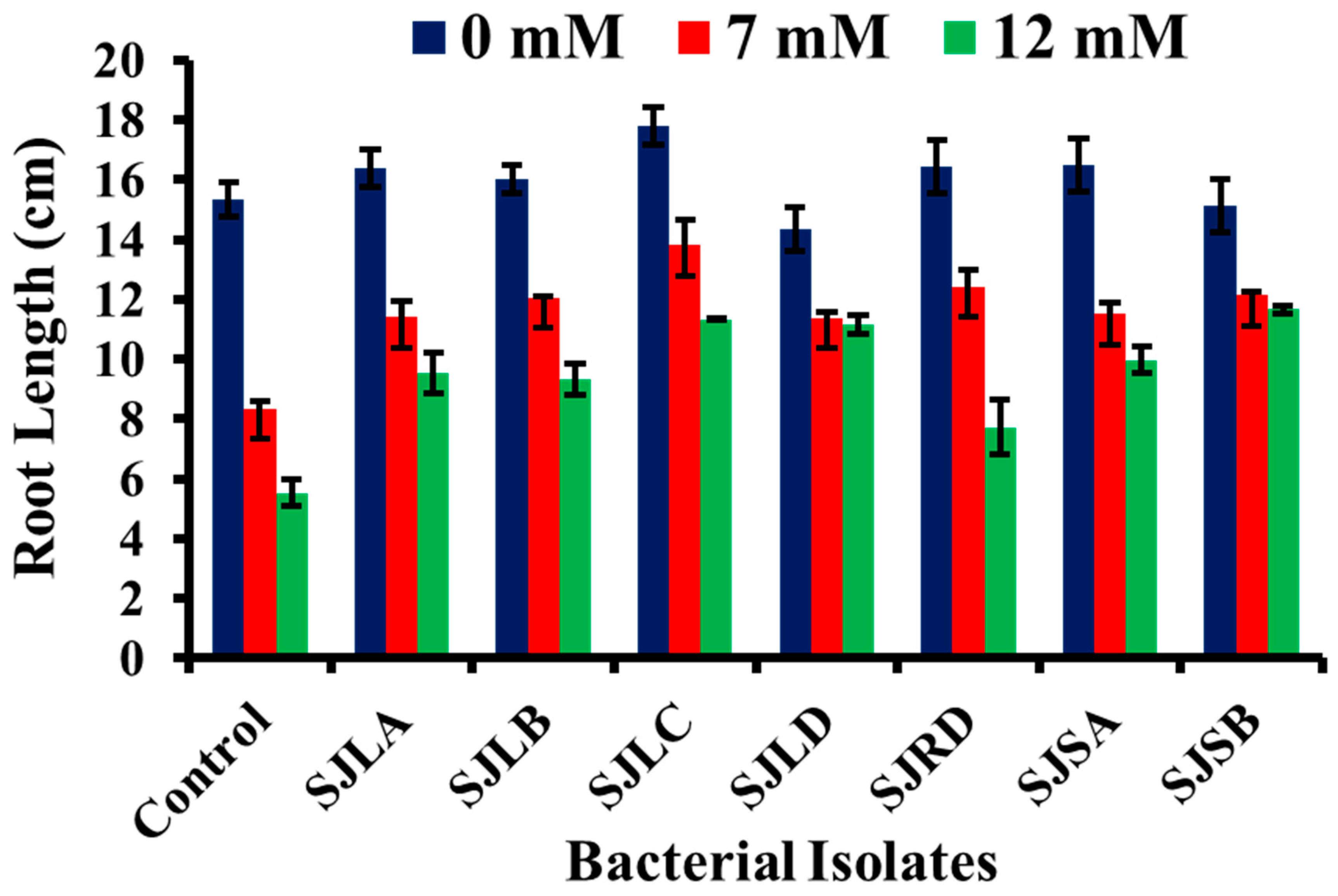 Sustainability 15 03126 g004