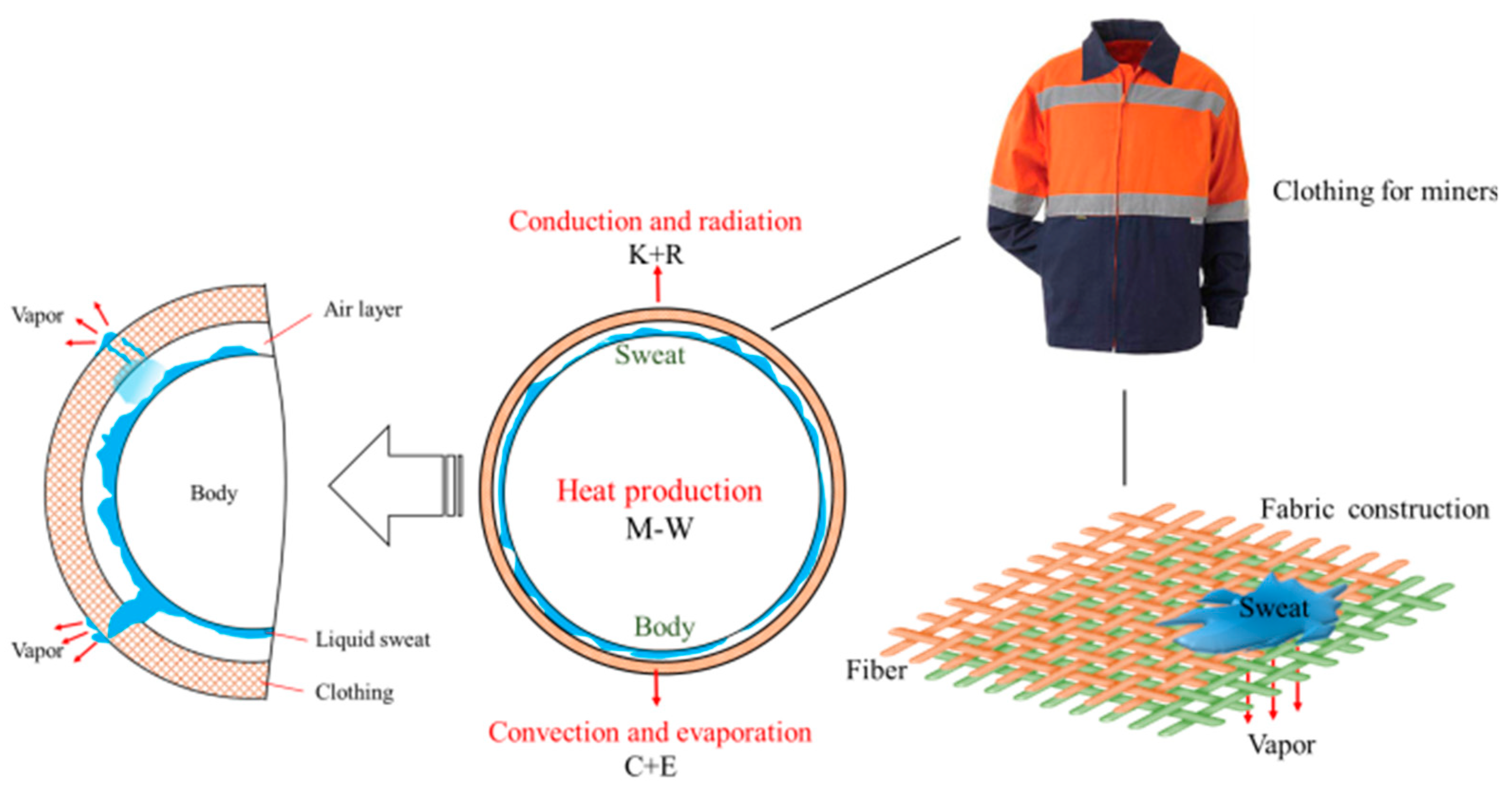 Sustainability 15 03193 g001
