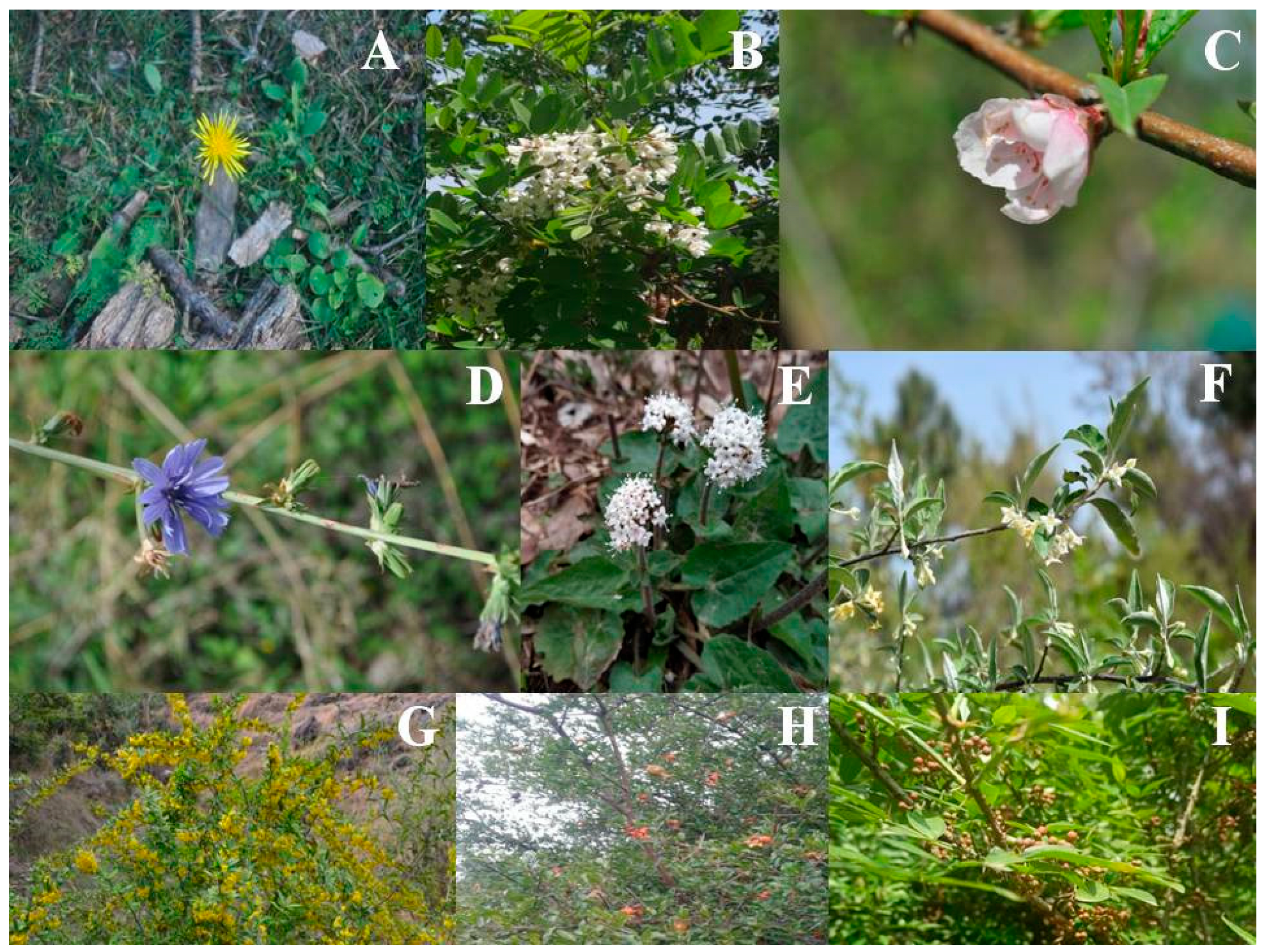 Sustainability 15 03198 g002 Sustainability 15 03198 g002