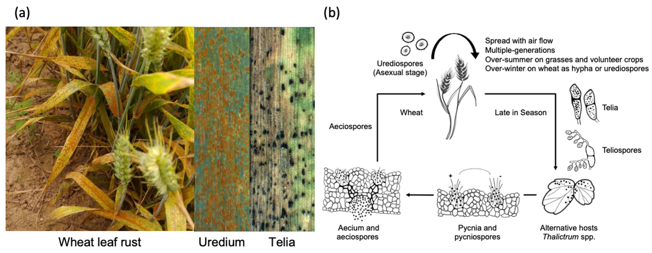 Sustainability 15 03247 g001