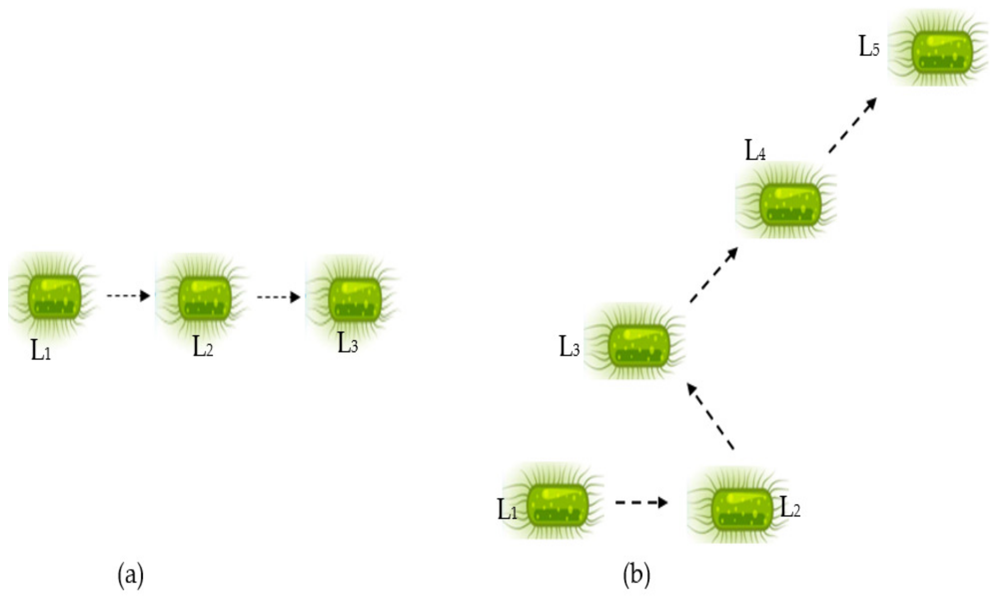 Sustainability 15 03270 g009