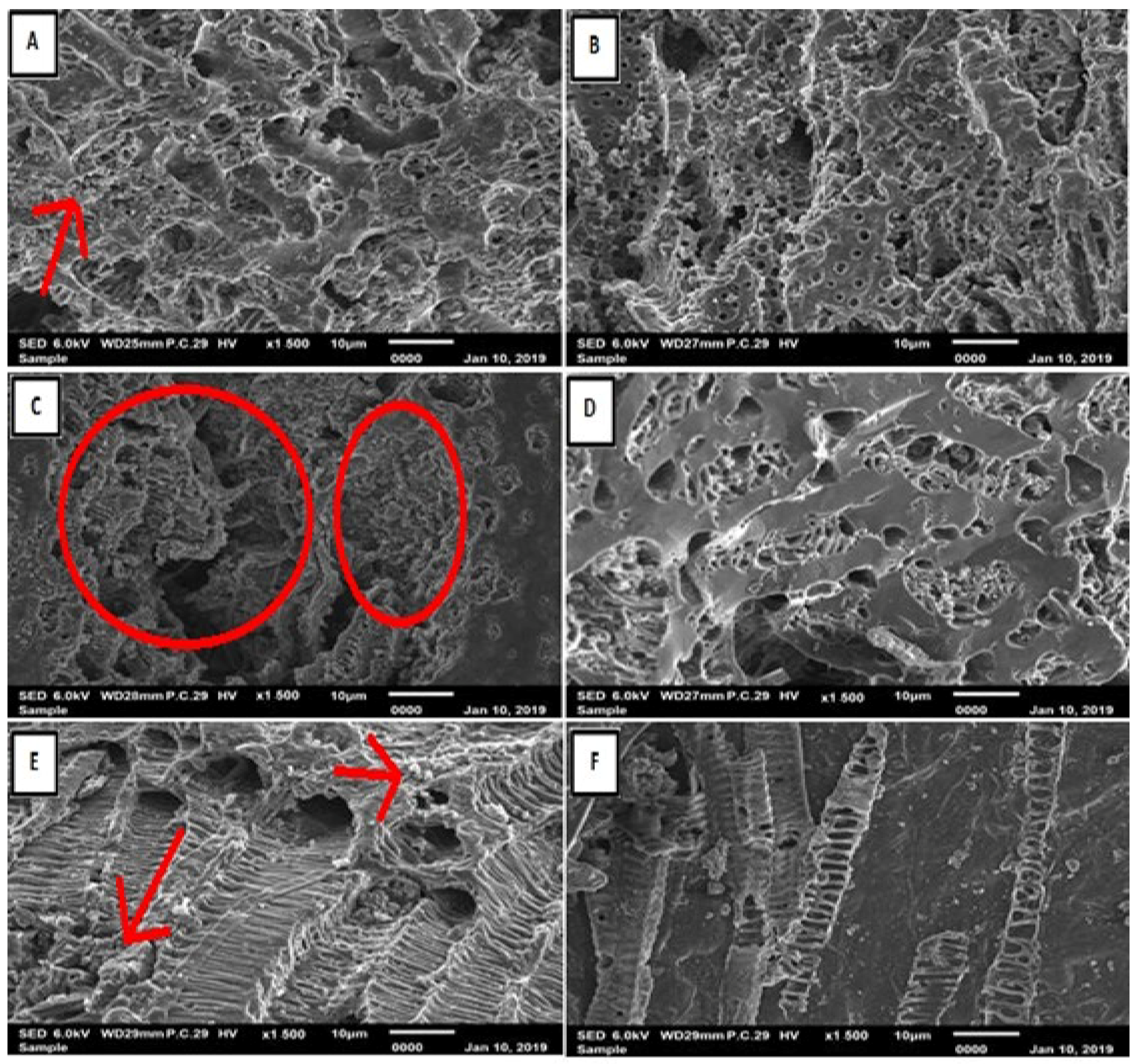 Sustainability 15 03316 g003 Sustainability 15 03316 g003