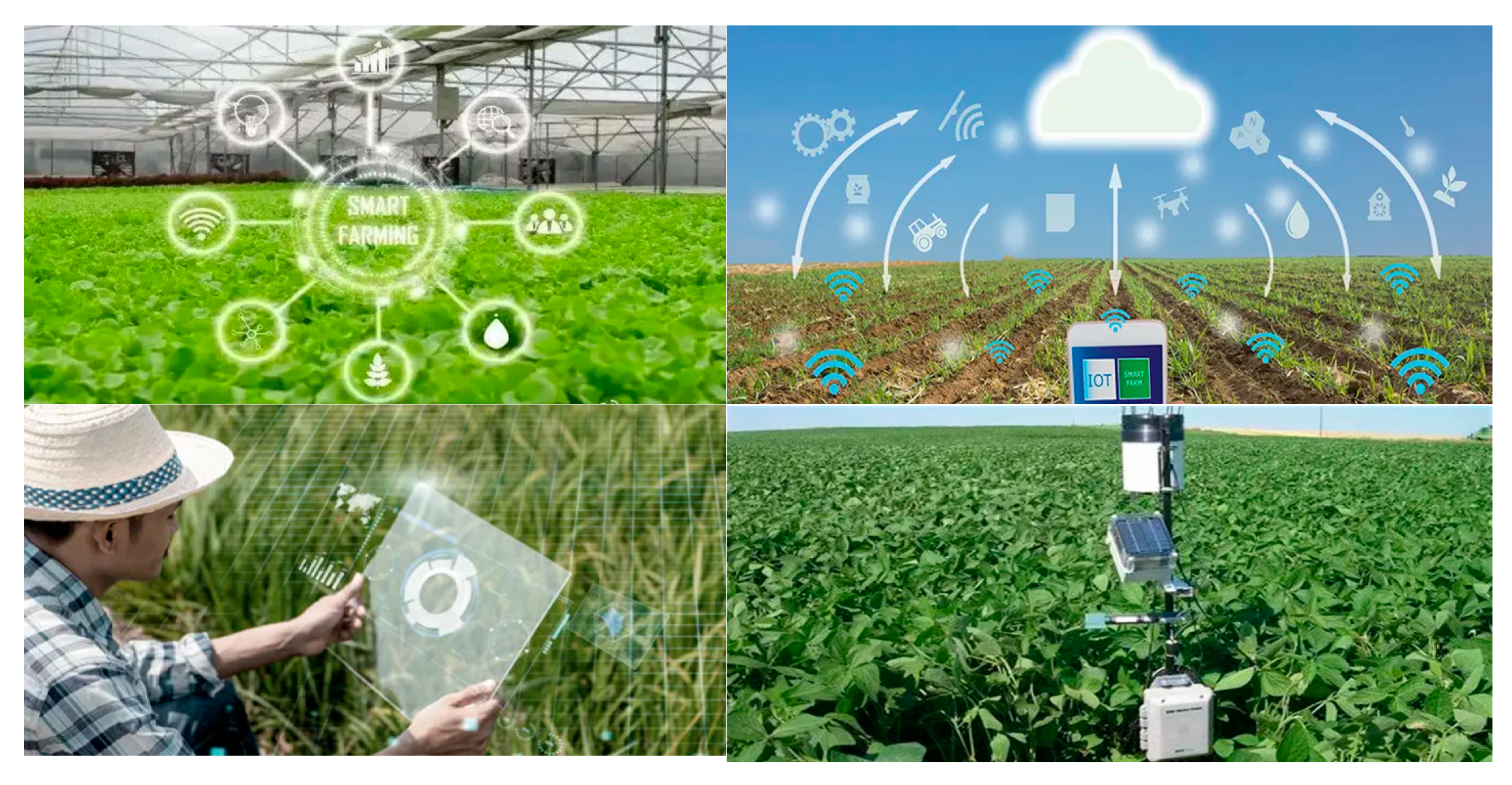 Sustainability 15 03352 g002