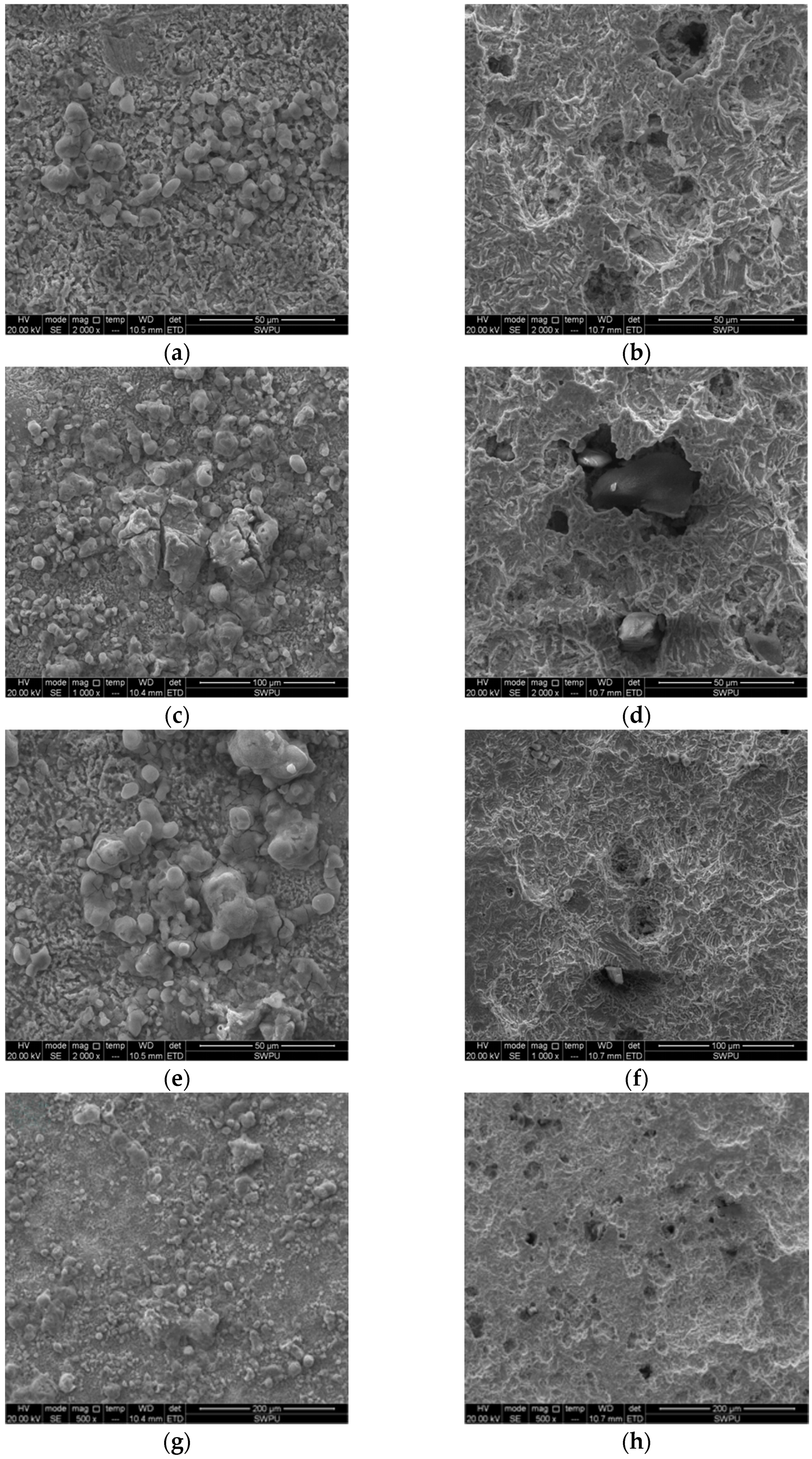 Sustainability 15 03355 g003