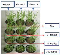 Sustainability 15 03359 i002