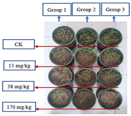 Sustainability 15 03359 i003