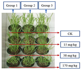 Sustainability 15 03359 i004