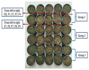 Sustainability 15 03359 i007