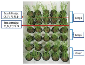 Sustainability 15 03359 i008