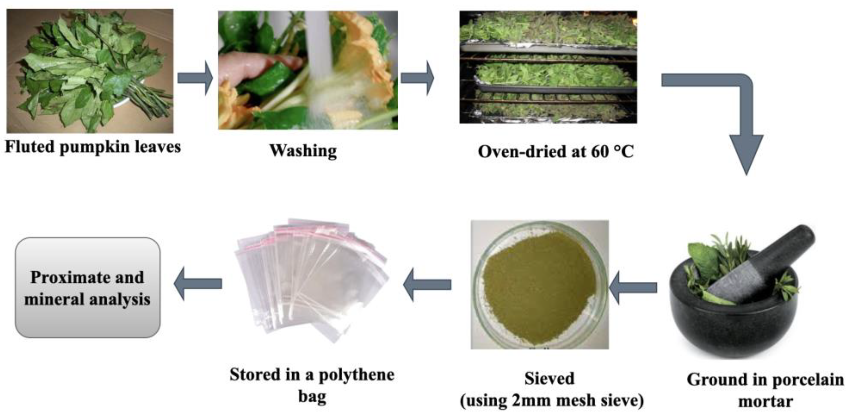 Sustainability 15 03383 g002