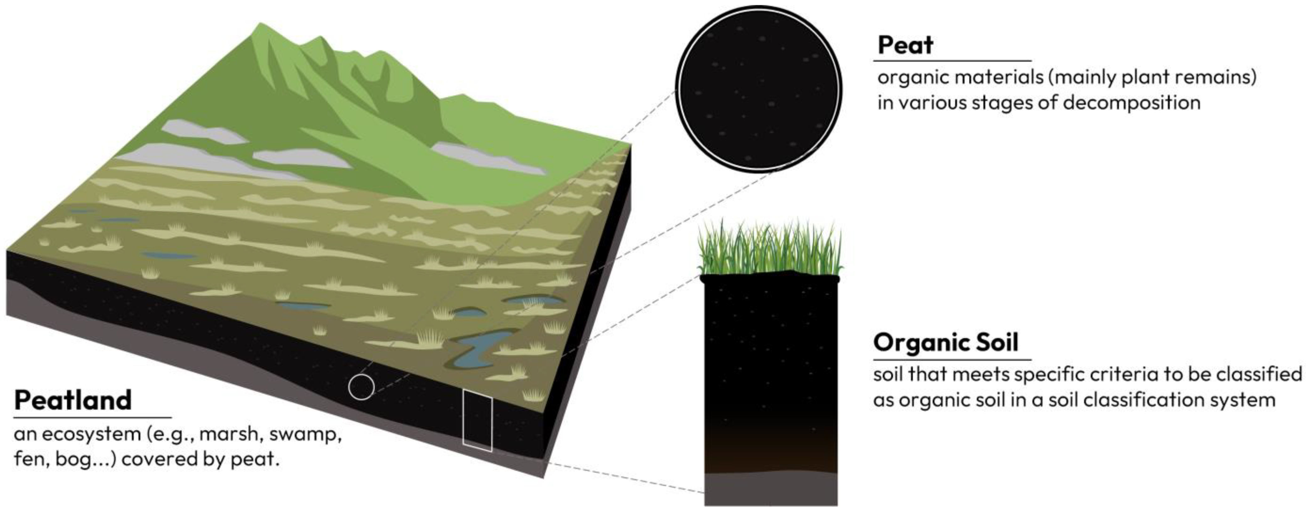 Sustainability 15 03416 g002