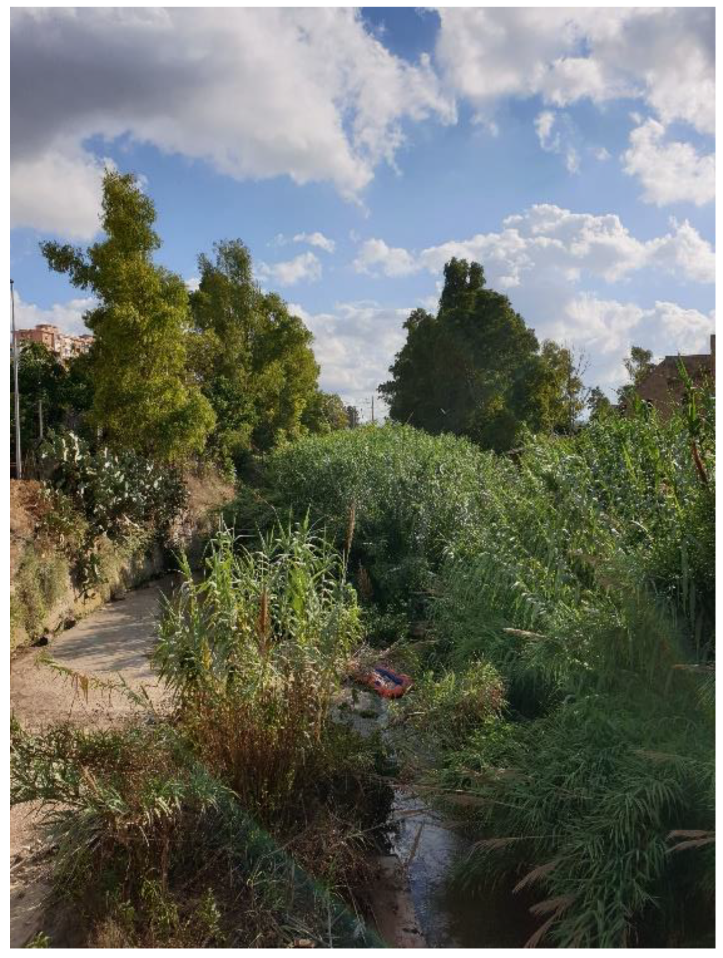 Sustainability 15 03486 g004