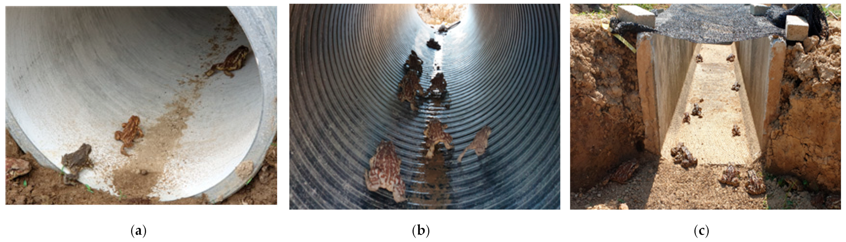 Sustainability 15 03501 g004