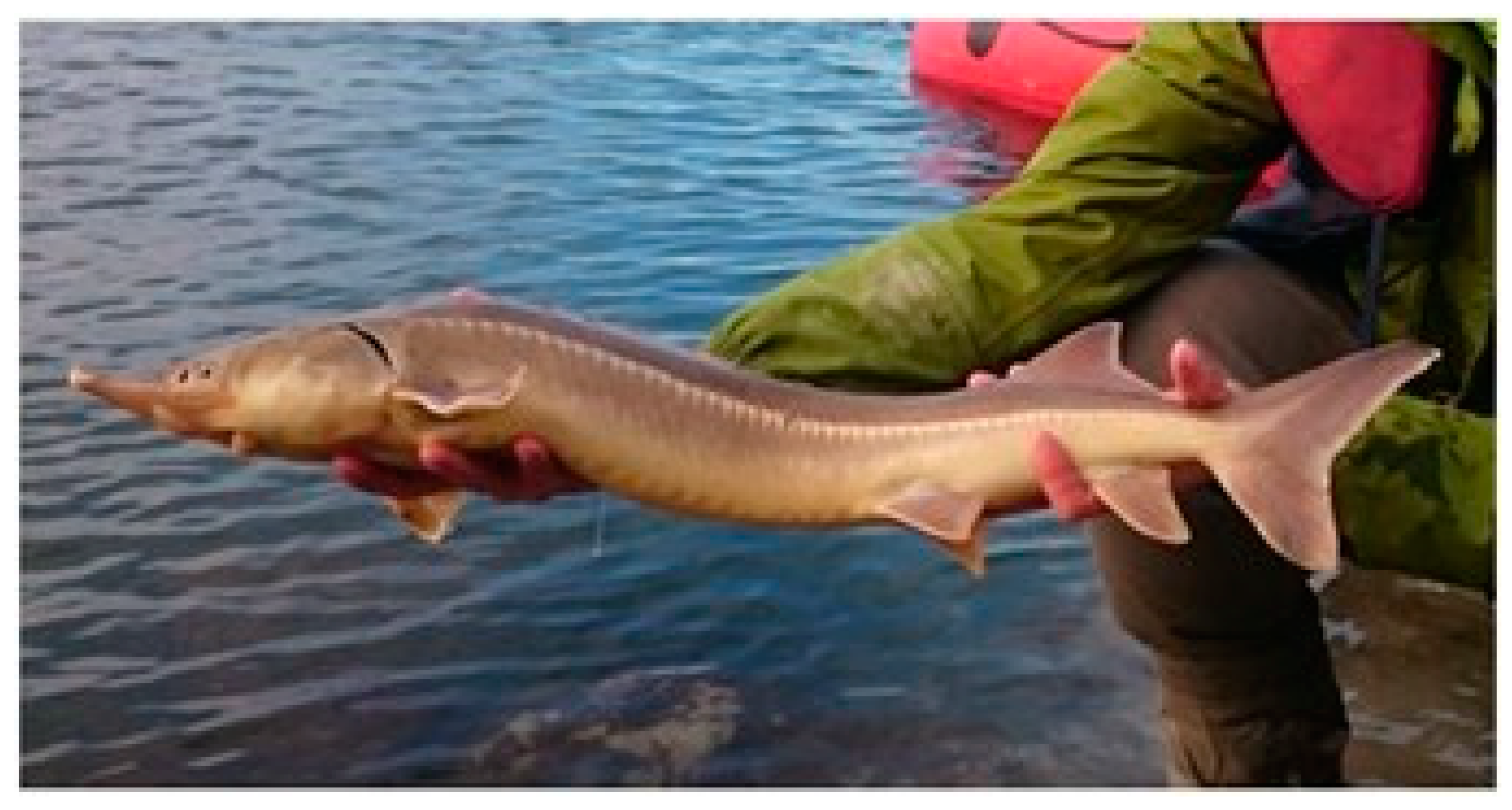 Sustainability 15 03511 g001 Sustainability 15 03511 g001