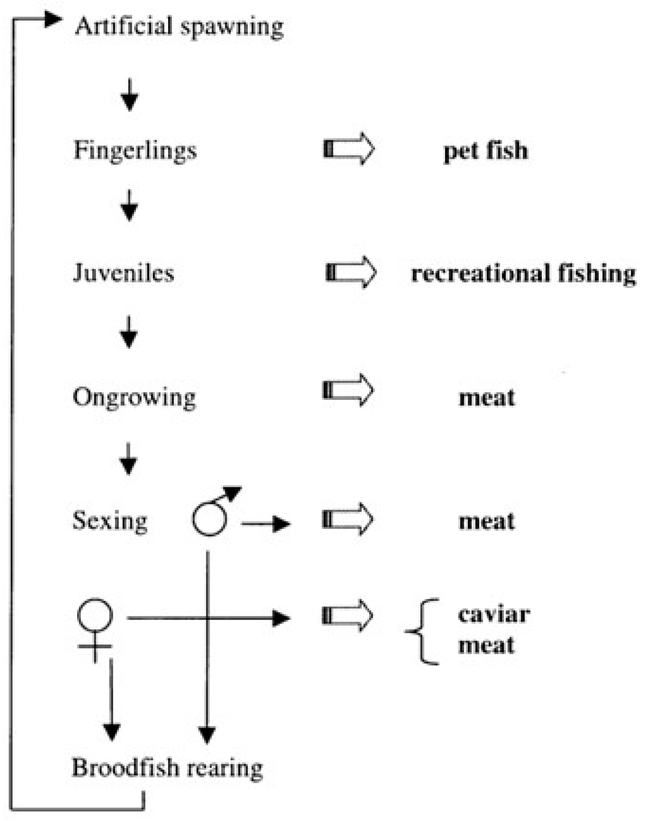 Sustainability 15 03511 g002 Sustainability 15 03511 g002
