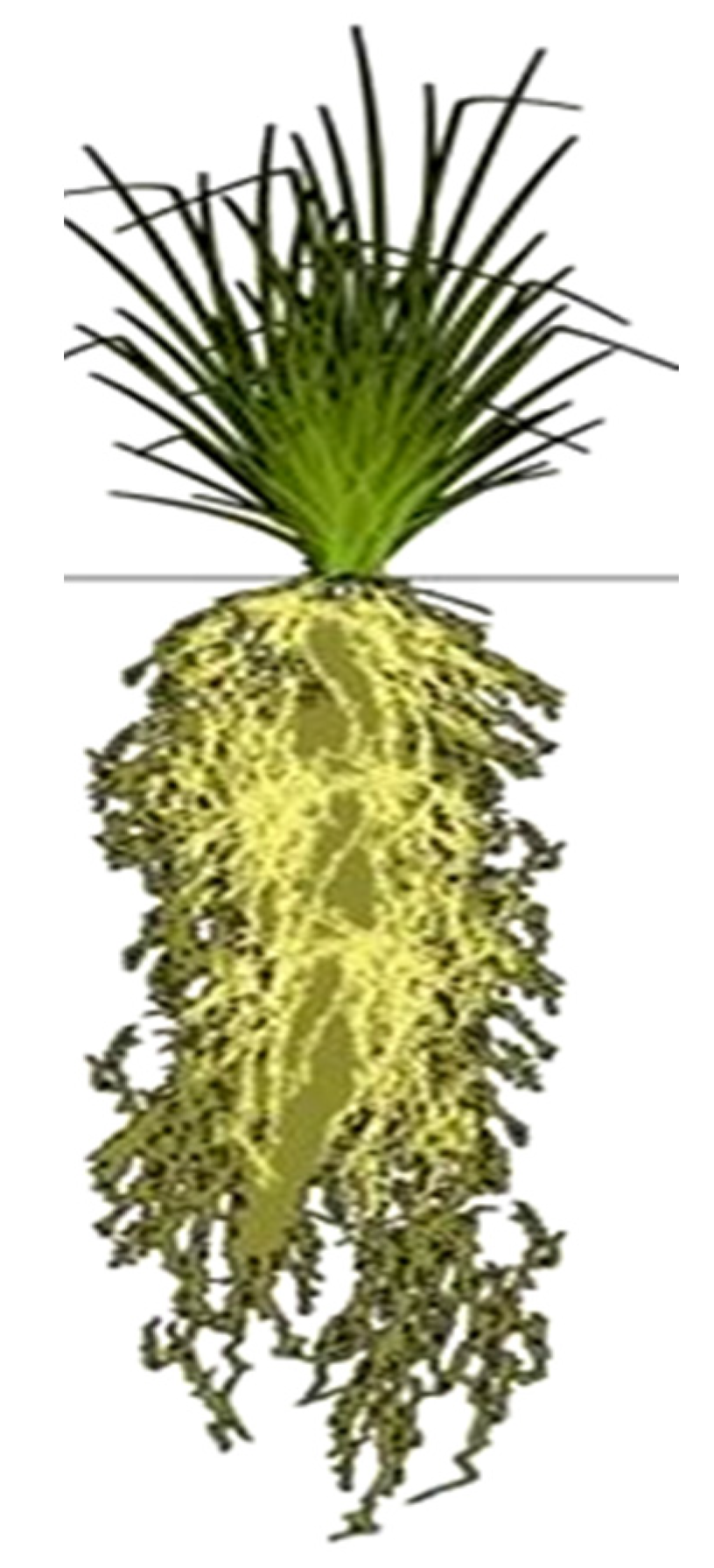 Sustainability 15 03529 g002