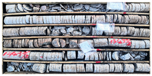 Sustainability 15 03551 i002