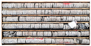 Sustainability 15 03551 i003