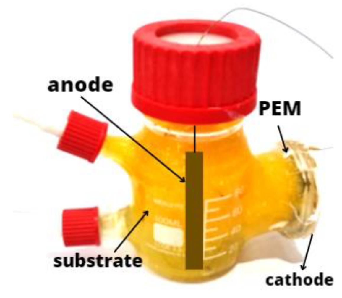 Sustainability 15 03559 g001