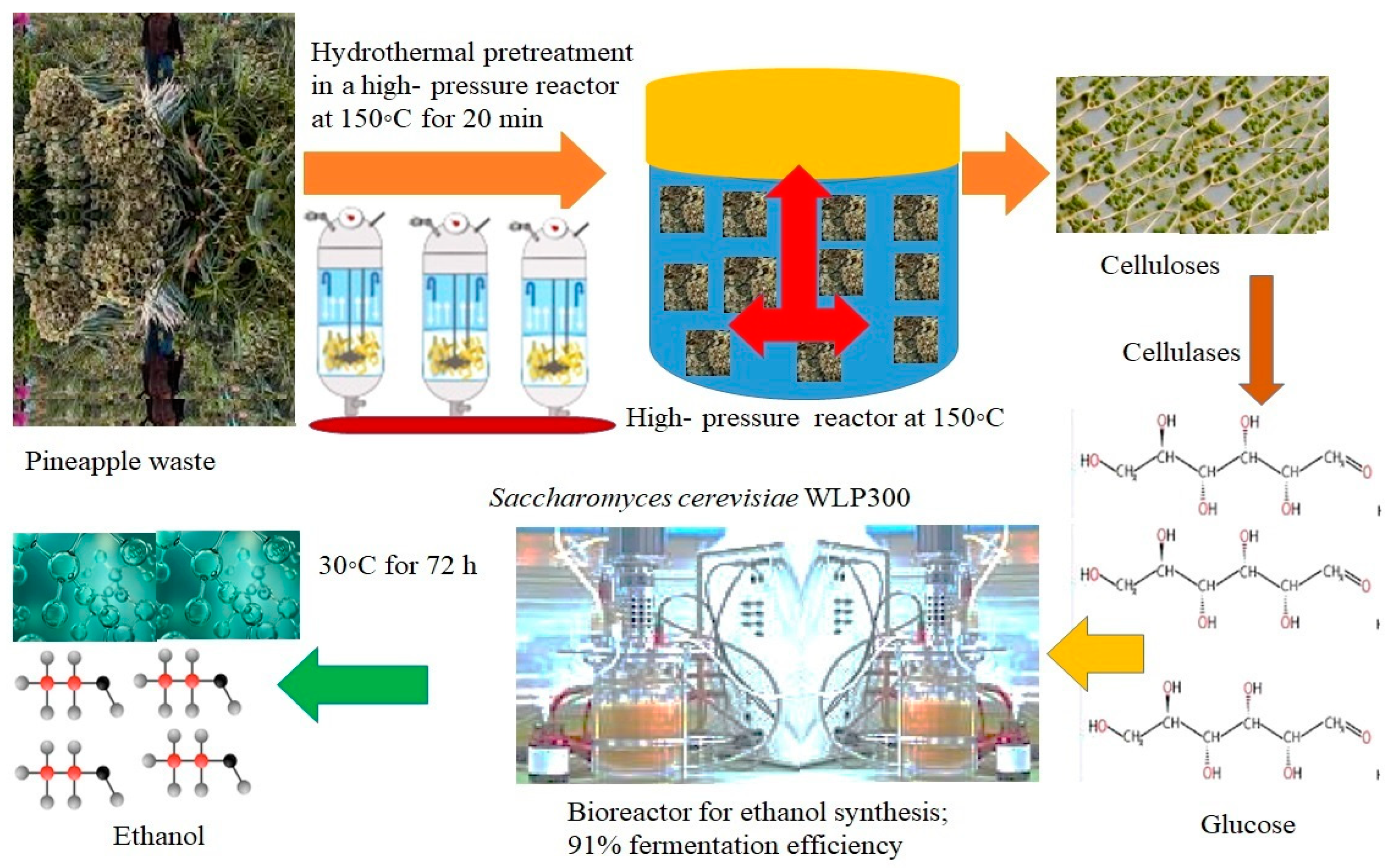 Sustainability 15 03575 g002