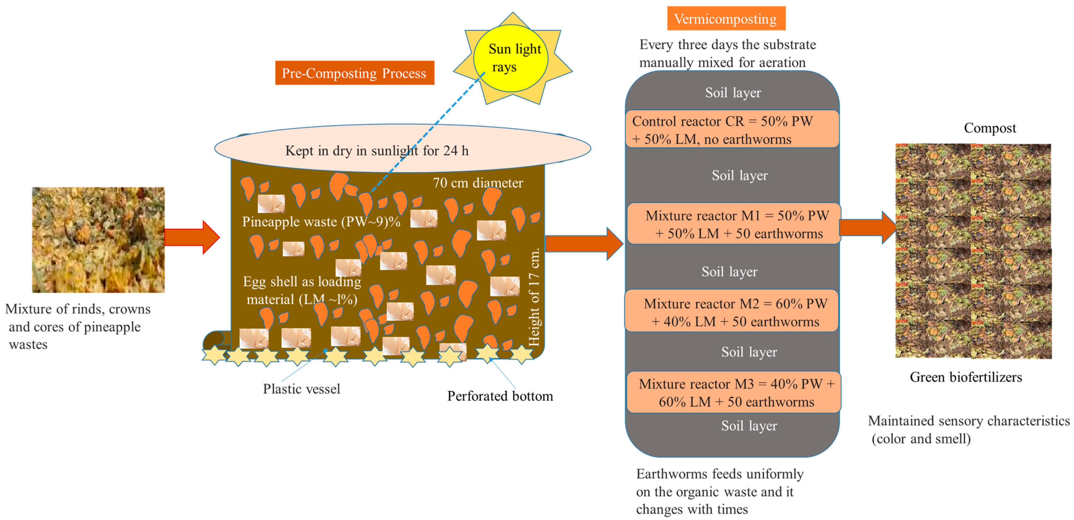 Sustainability 15 03575 g003