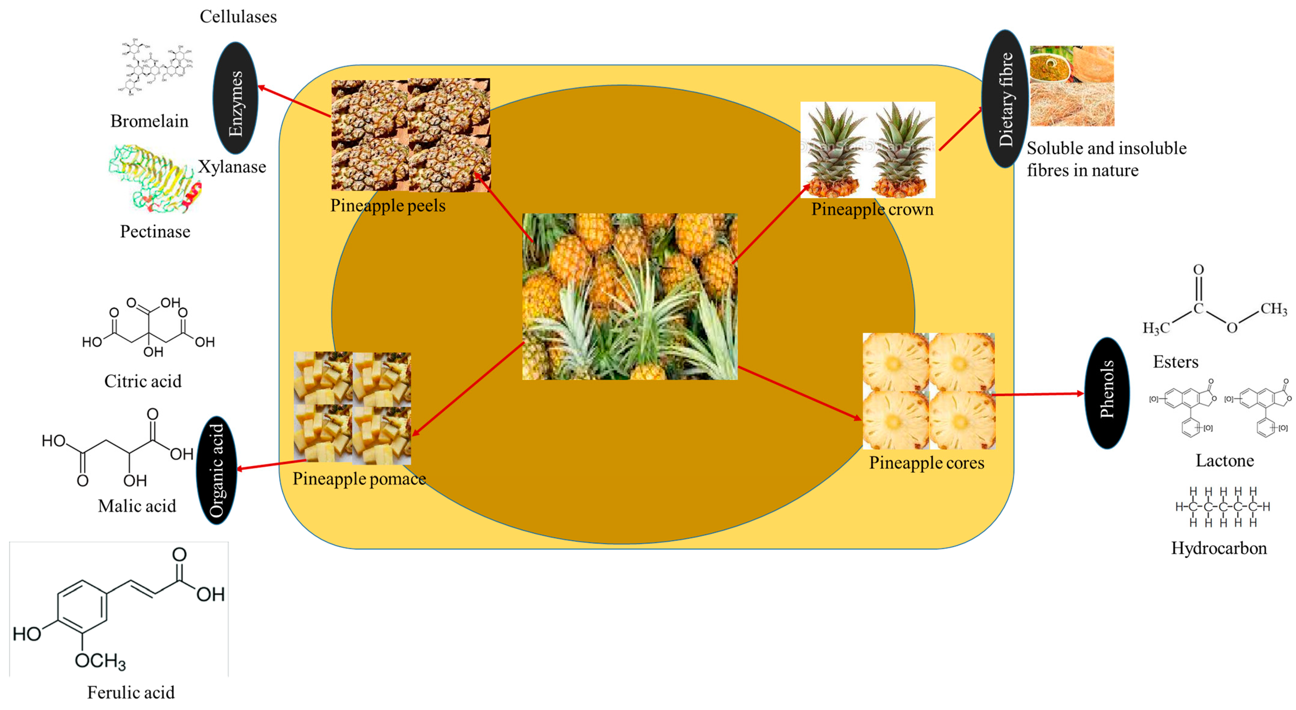Sustainability 15 03575 g006