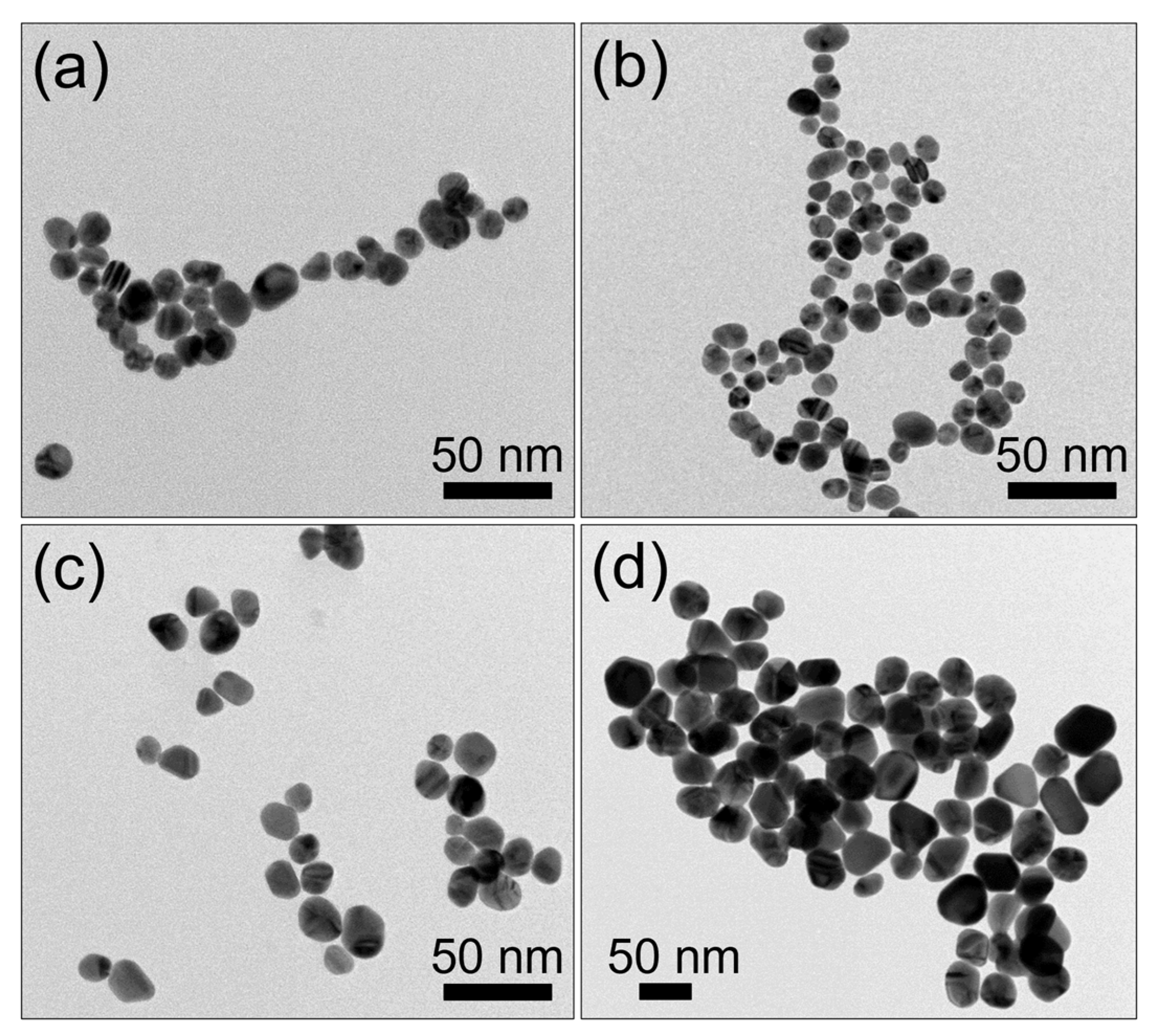 Sustainability 15 03621 g001