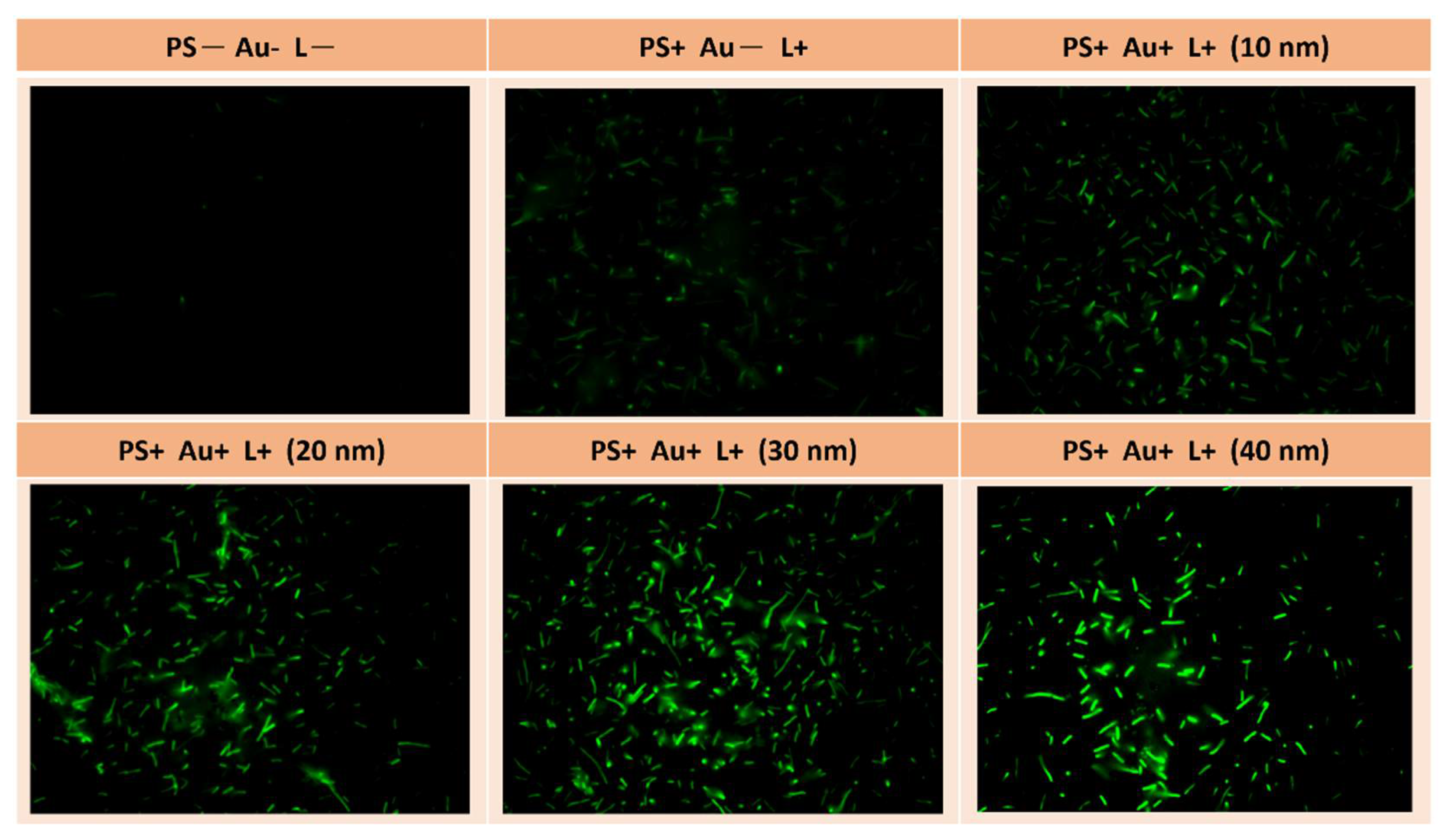 Sustainability 15 03621 g007