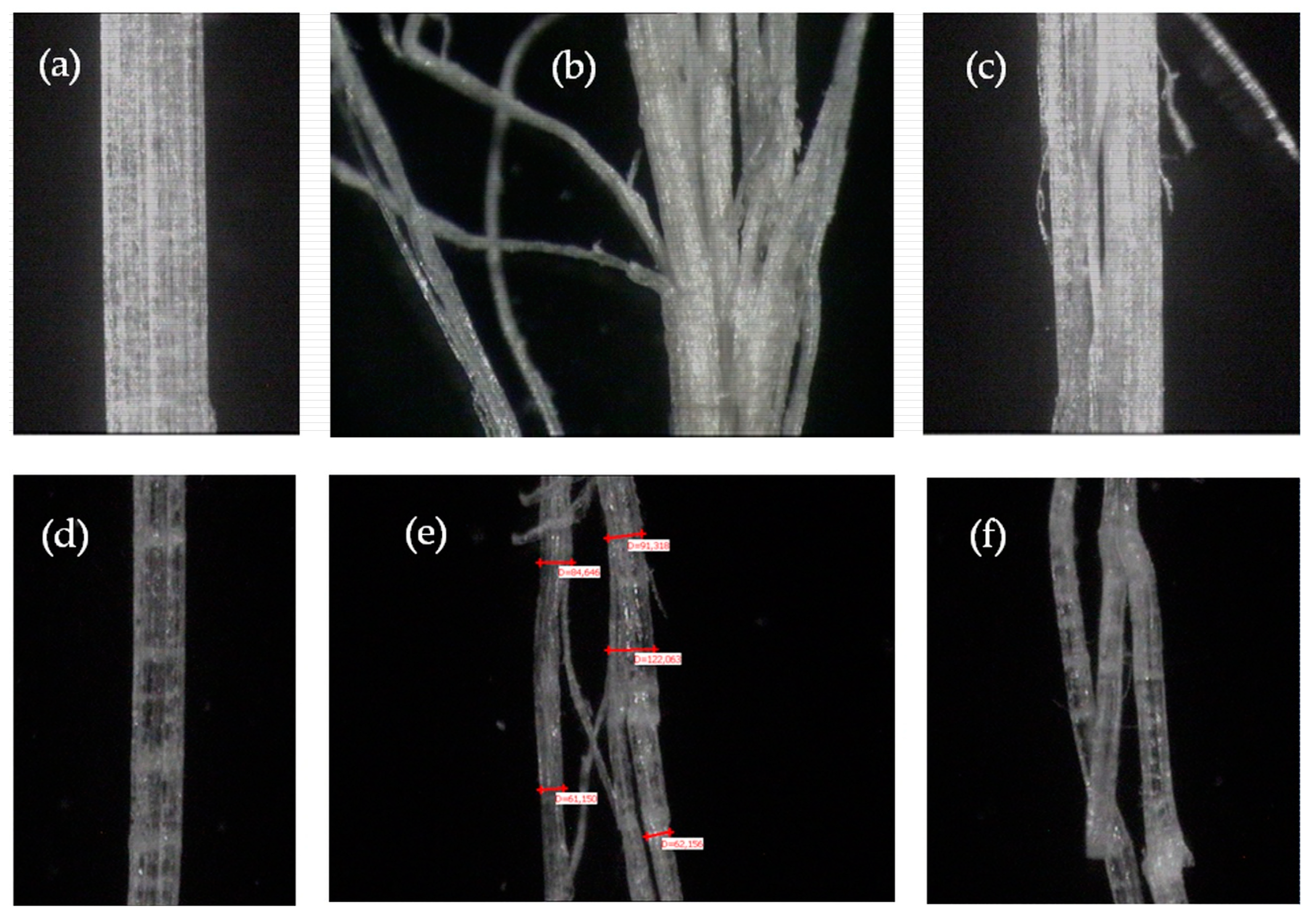 Sustainability 15 03635 g004