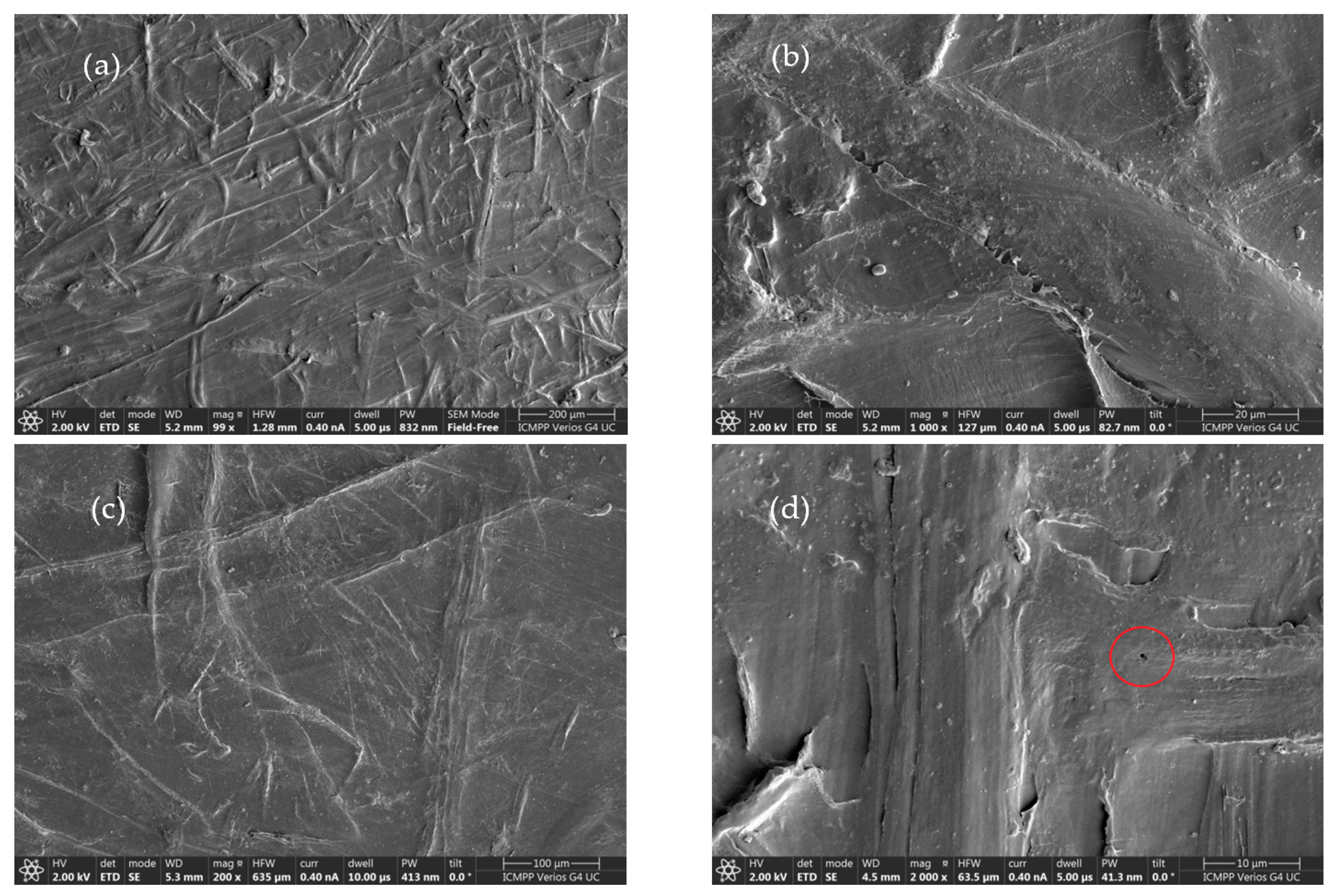 Sustainability 15 03635 g013