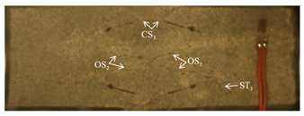 Sustainability 15 03637 i003