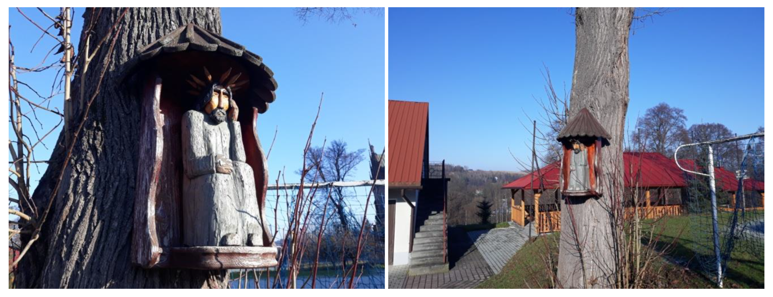 Sustainability 15 03656 g001