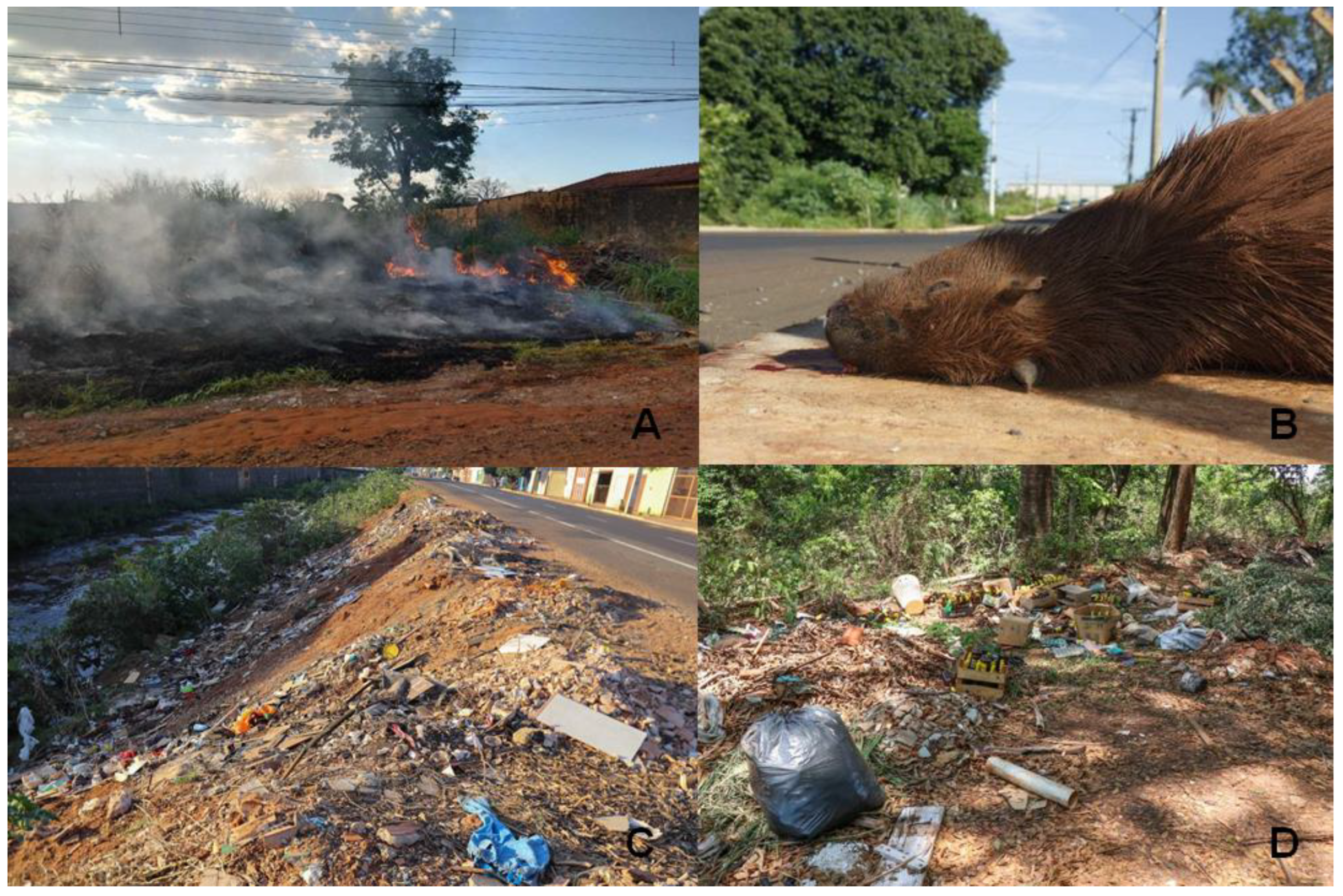 Sustainability 15 03699 g001