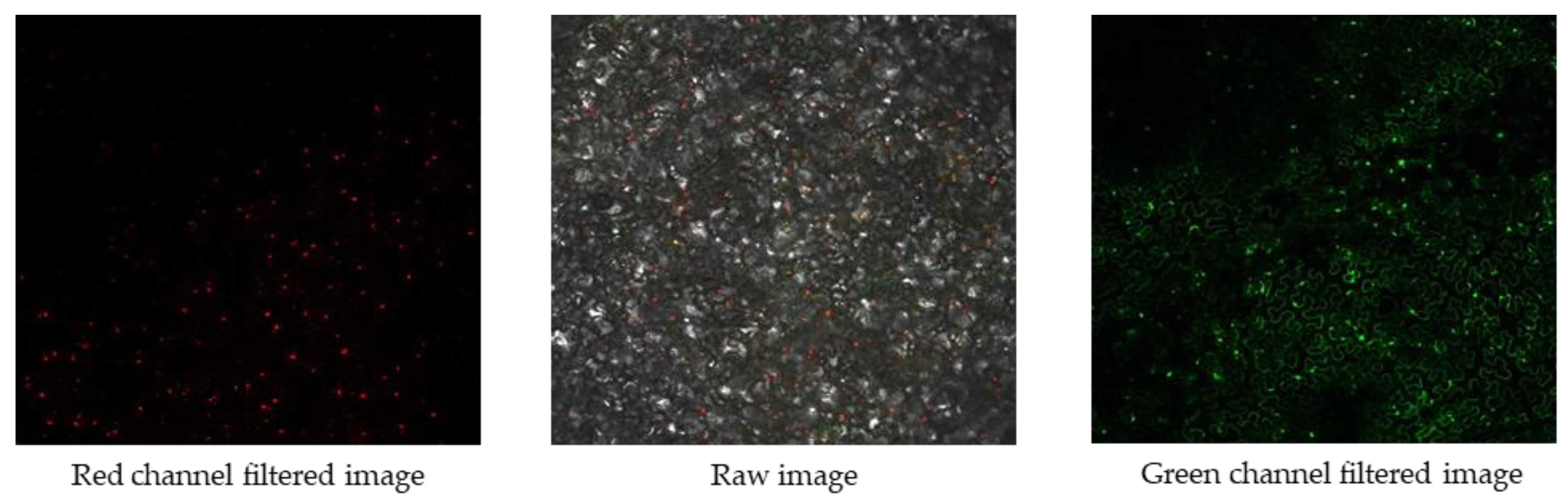 Sustainability 15 03726 g002