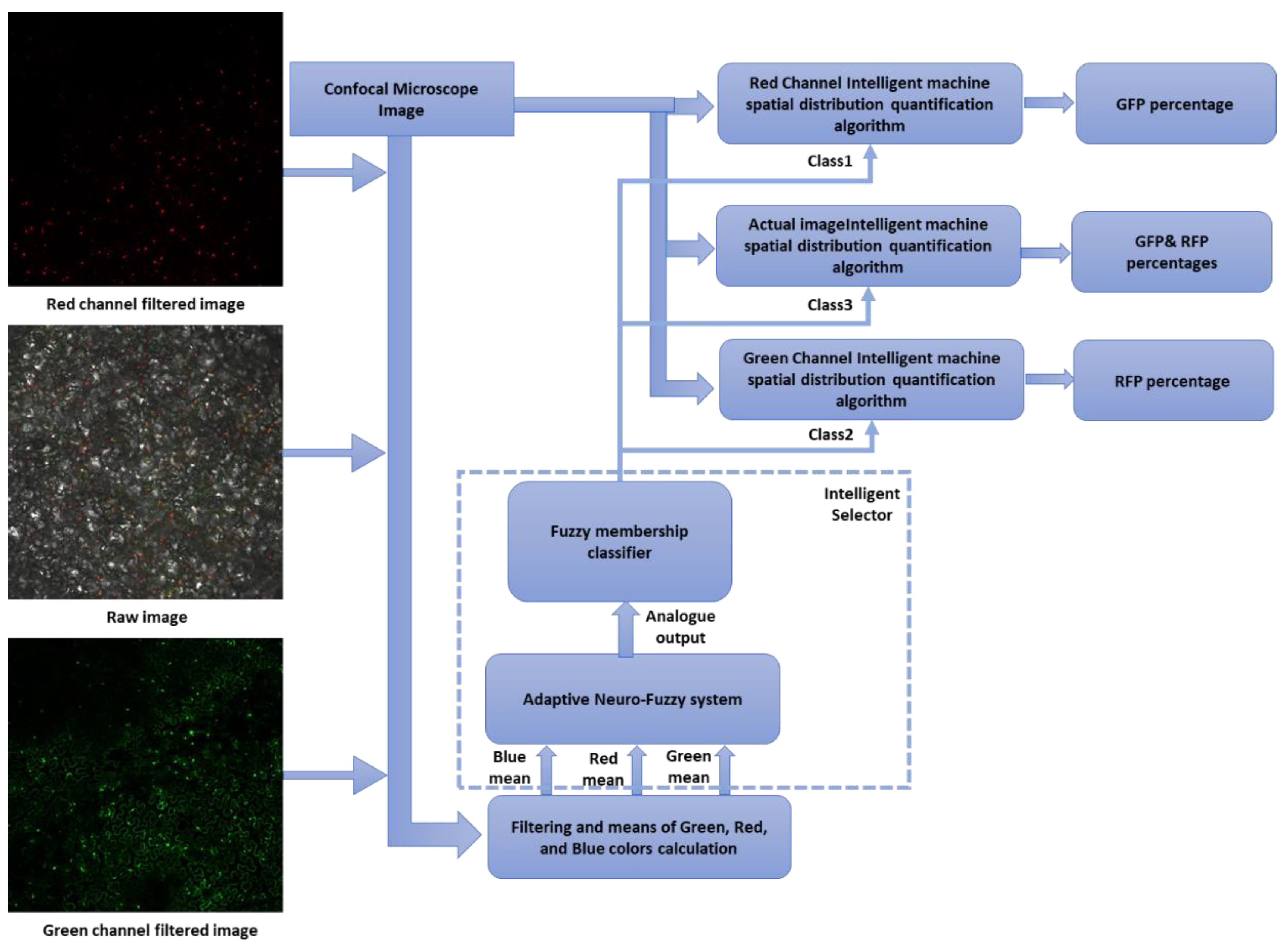 Sustainability 15 03726 g003