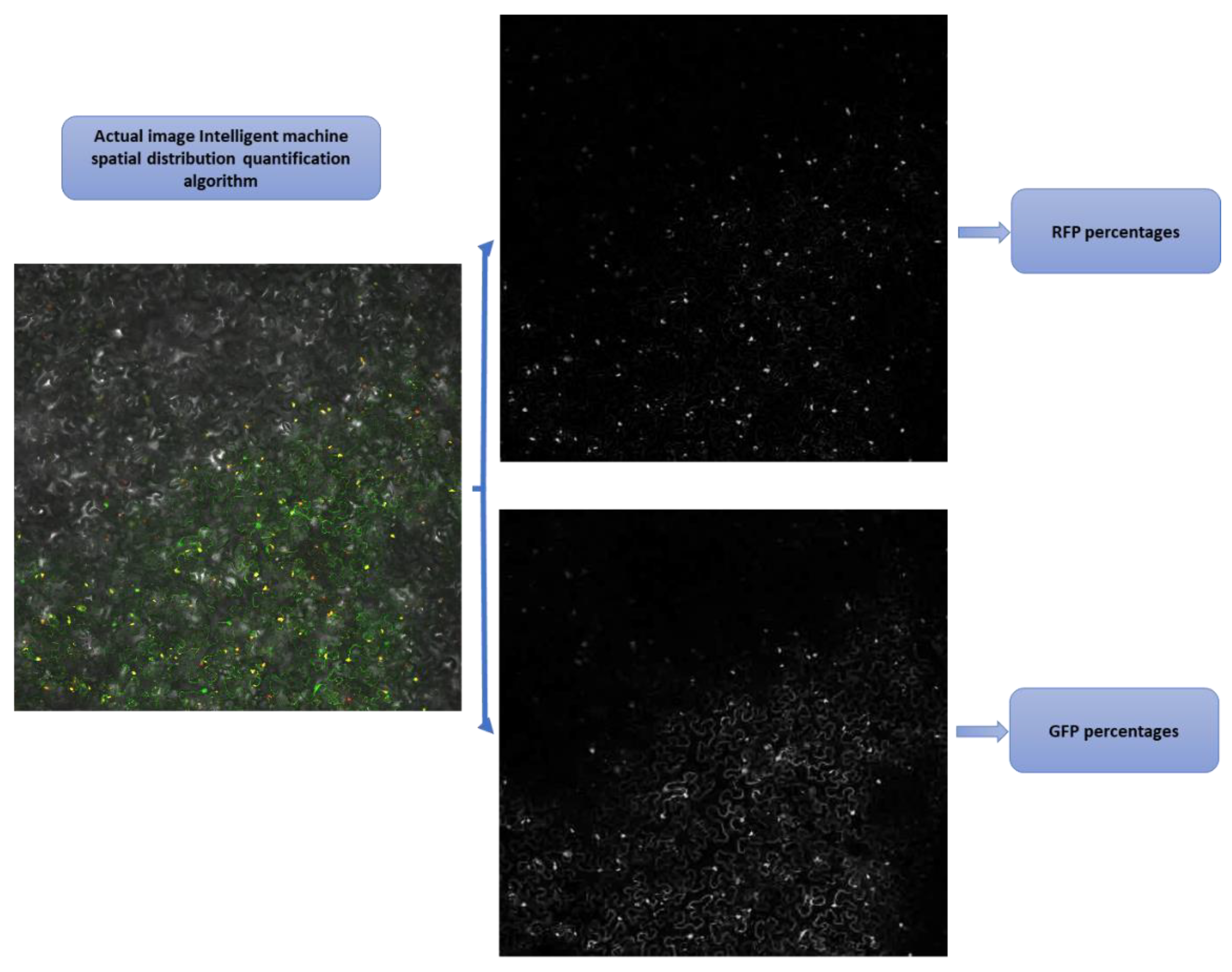 Sustainability 15 03726 g018