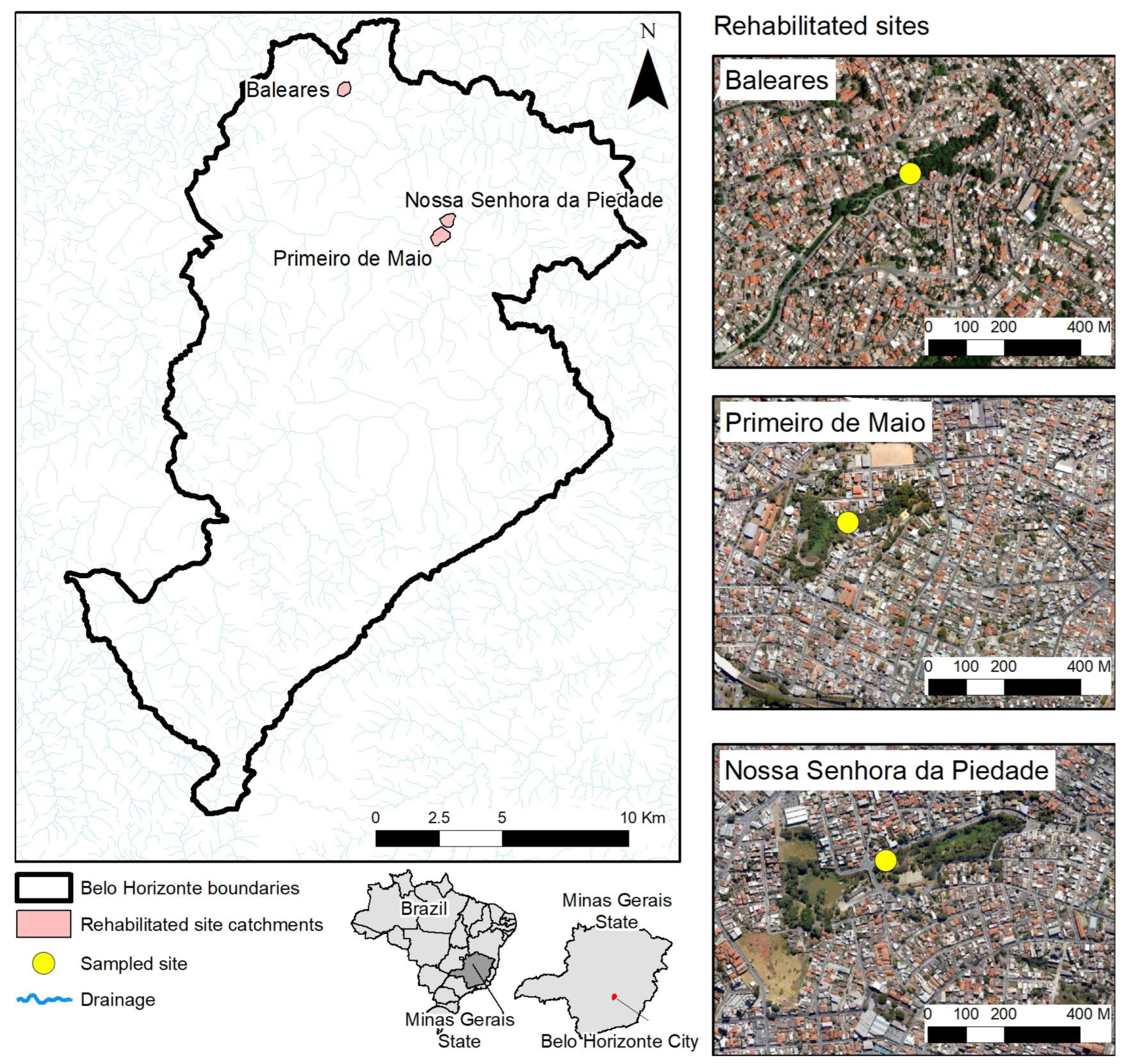 Sustainability 15 03731 g001